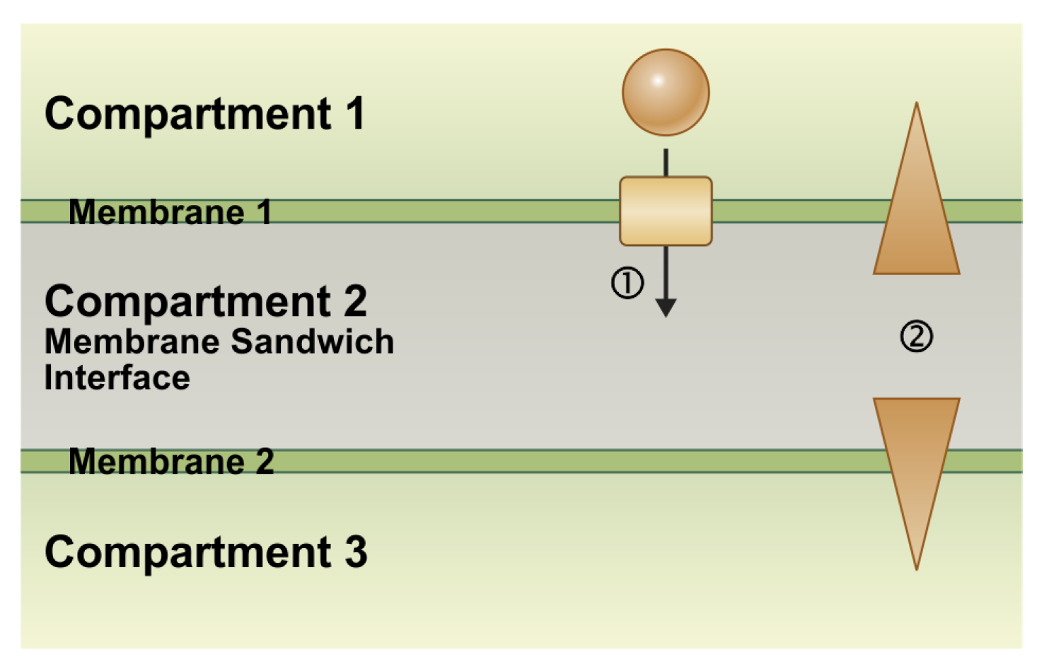 Plants 12 00204 g001 Plants 12 00204 g001