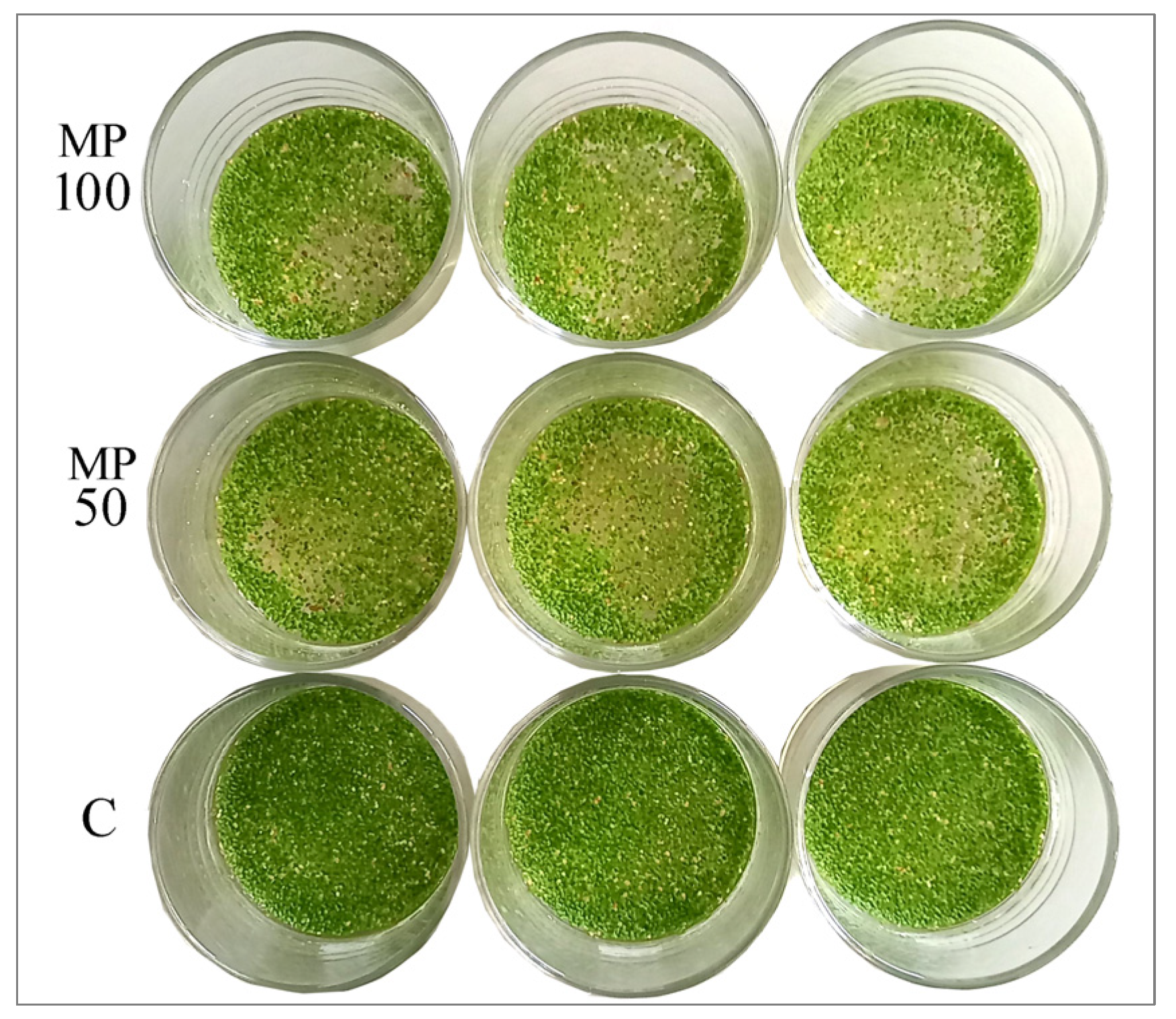 Plants 12 00207 g003