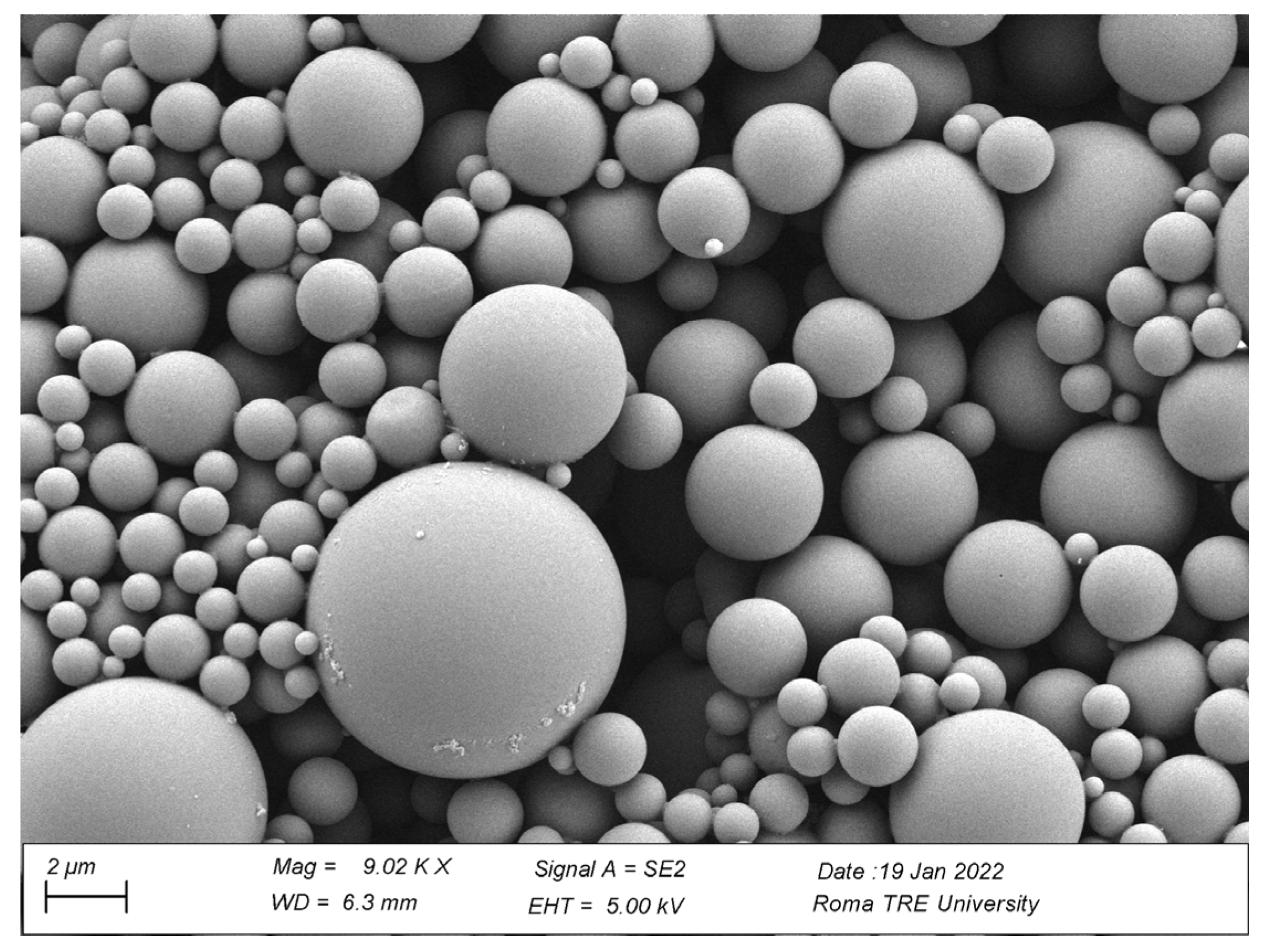 Plants 12 00207 g008