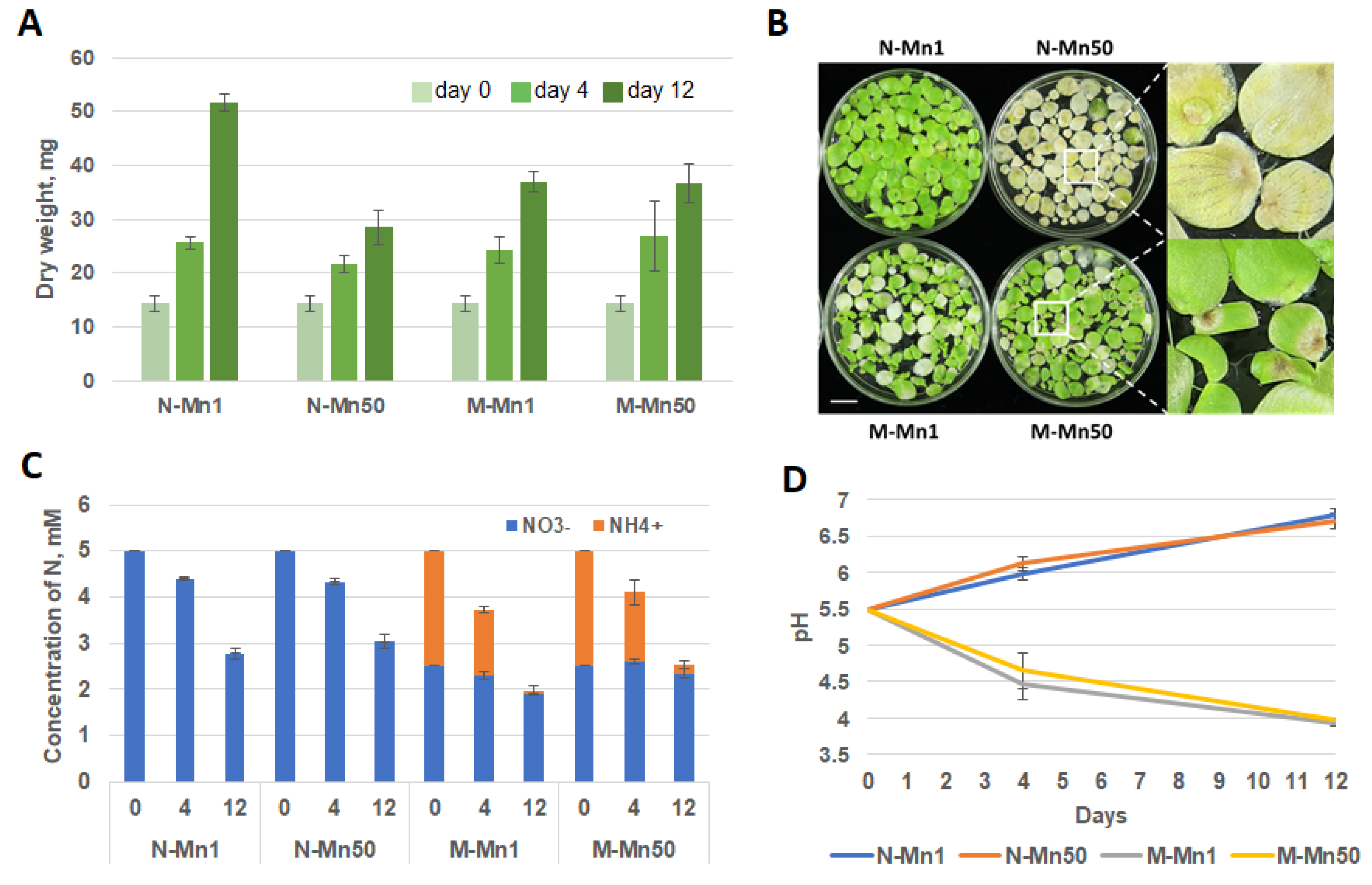 Plants 12 00208 g001 Plants 12 00208 g001
