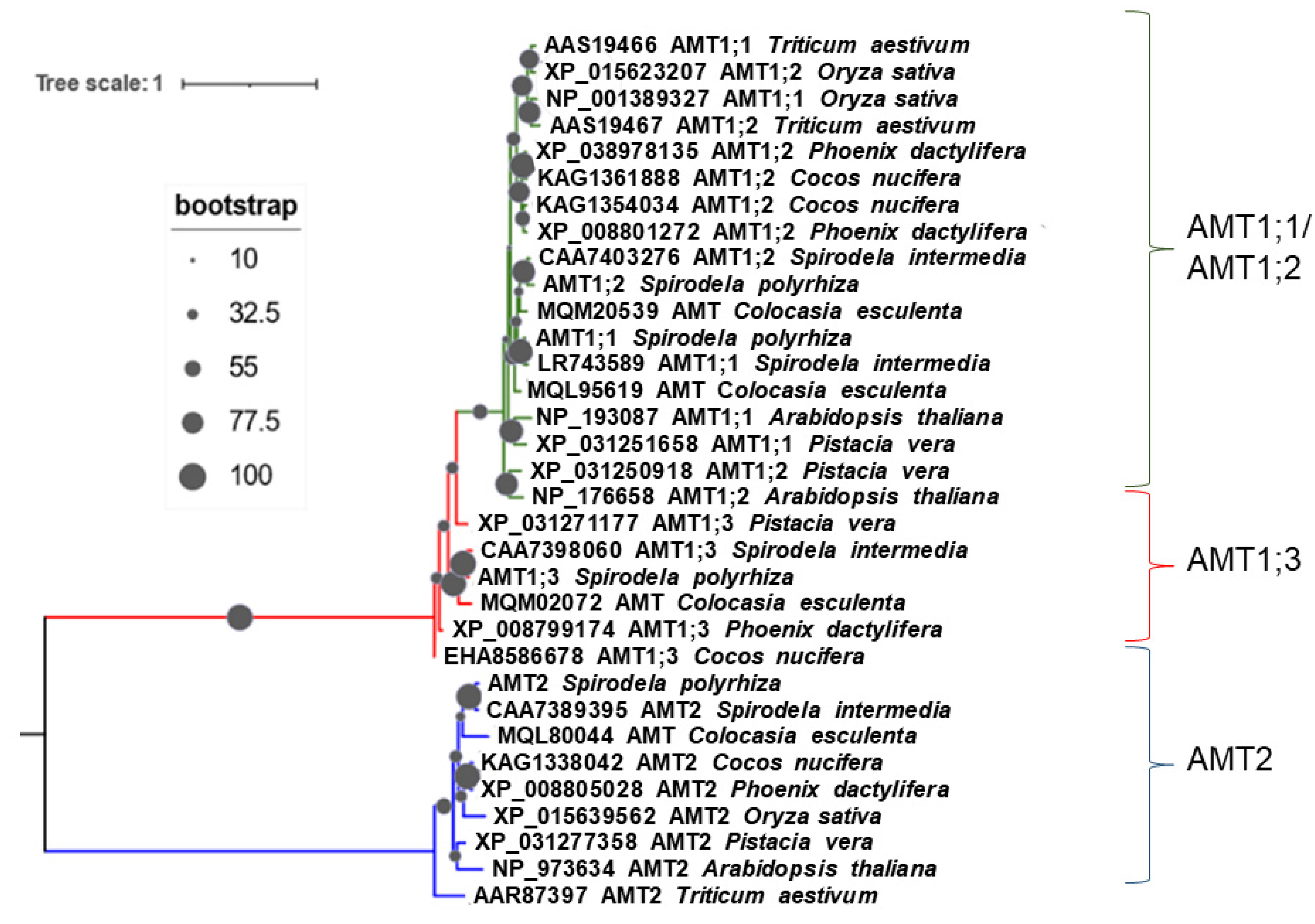 Plants 12 00208 g002 Plants 12 00208 g002