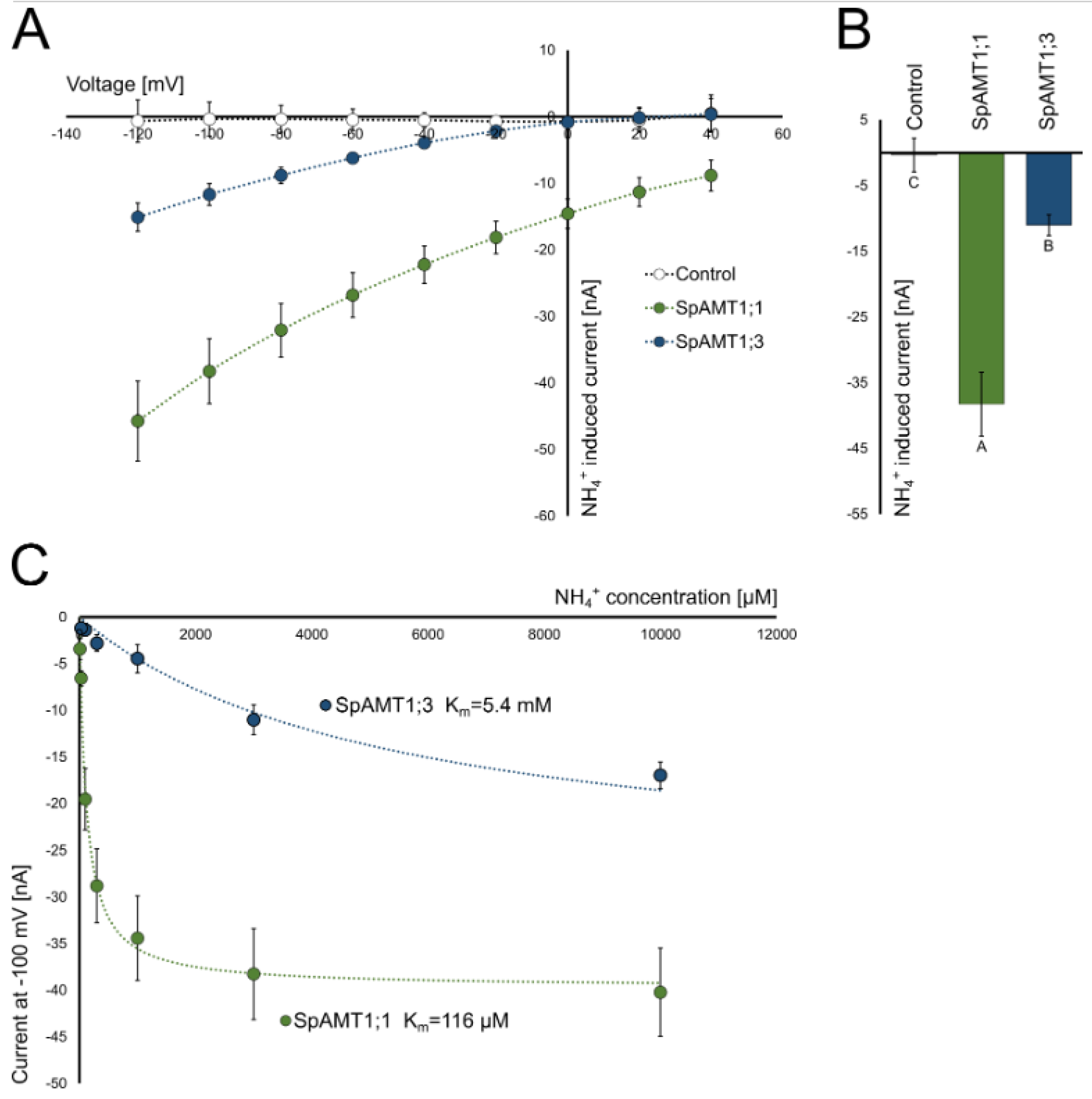 Plants 12 00208 g004 Plants 12 00208 g004