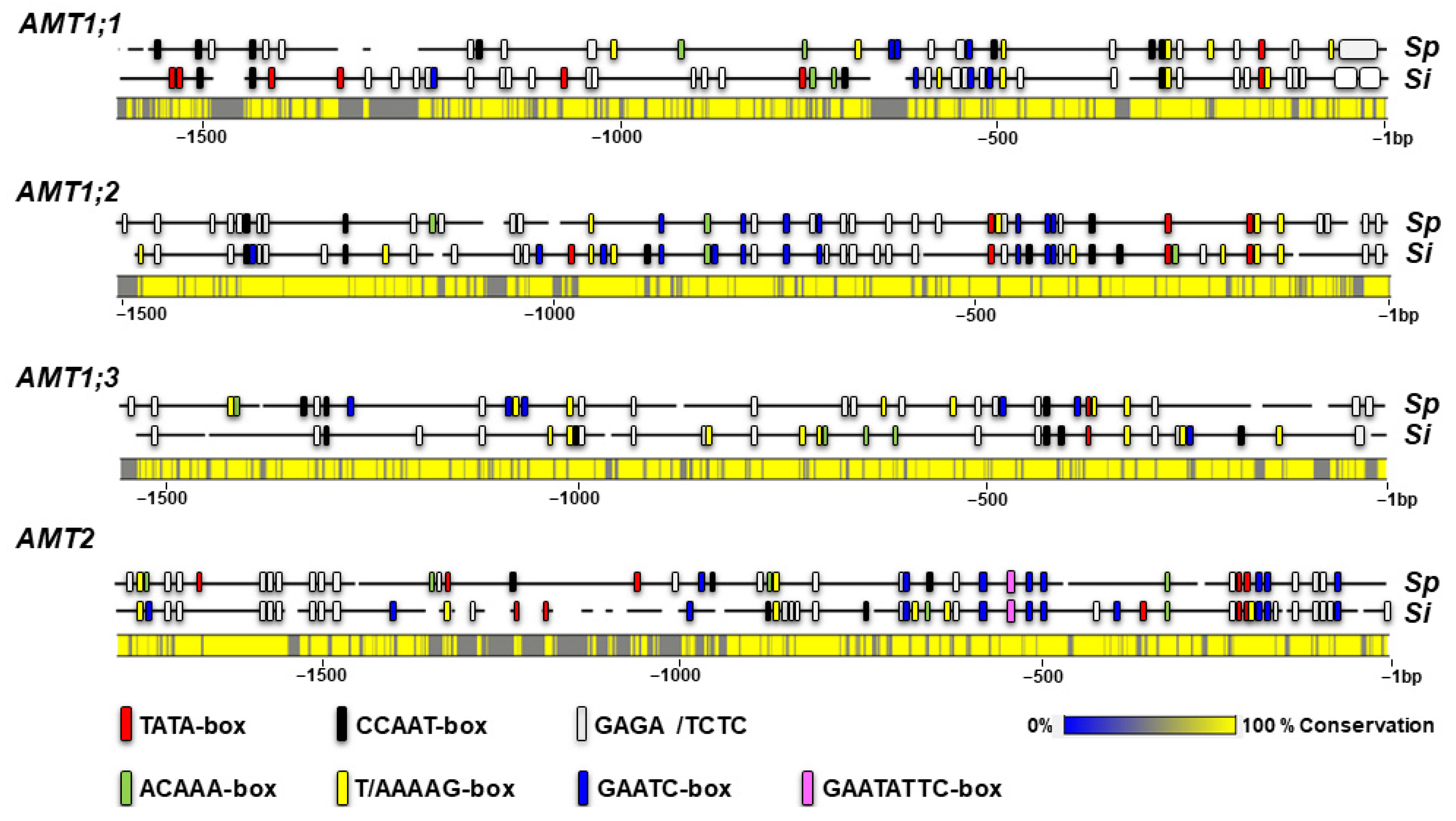 Plants 12 00208 g006 Plants 12 00208 g006