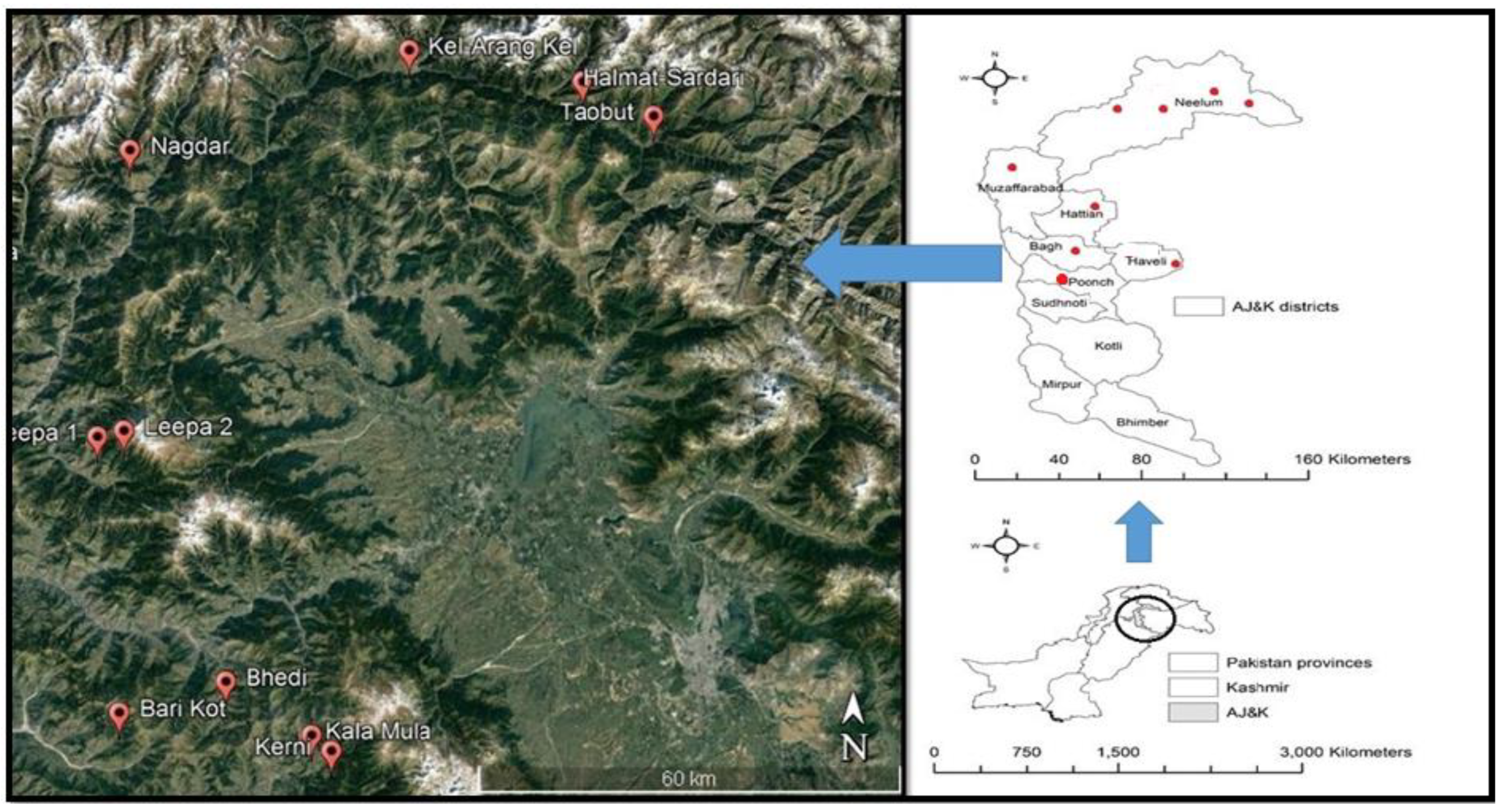 Plants 12 00213 g005 Plants 12 00213 g005