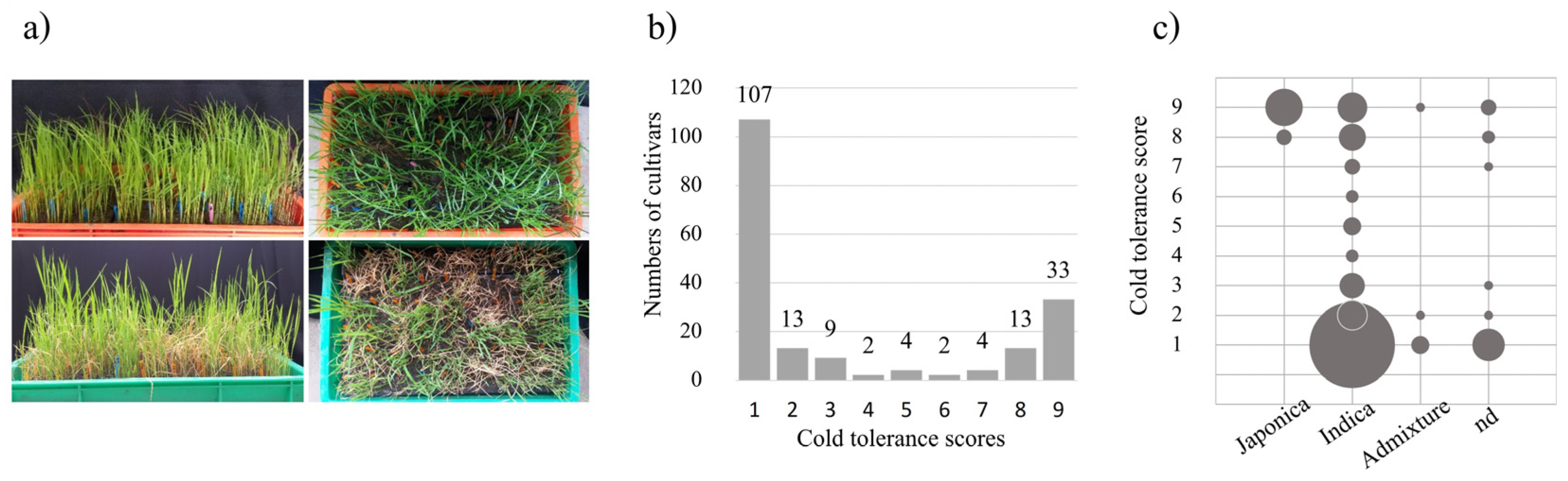 Plants 12 00215 g001 Plants 12 00215 g001