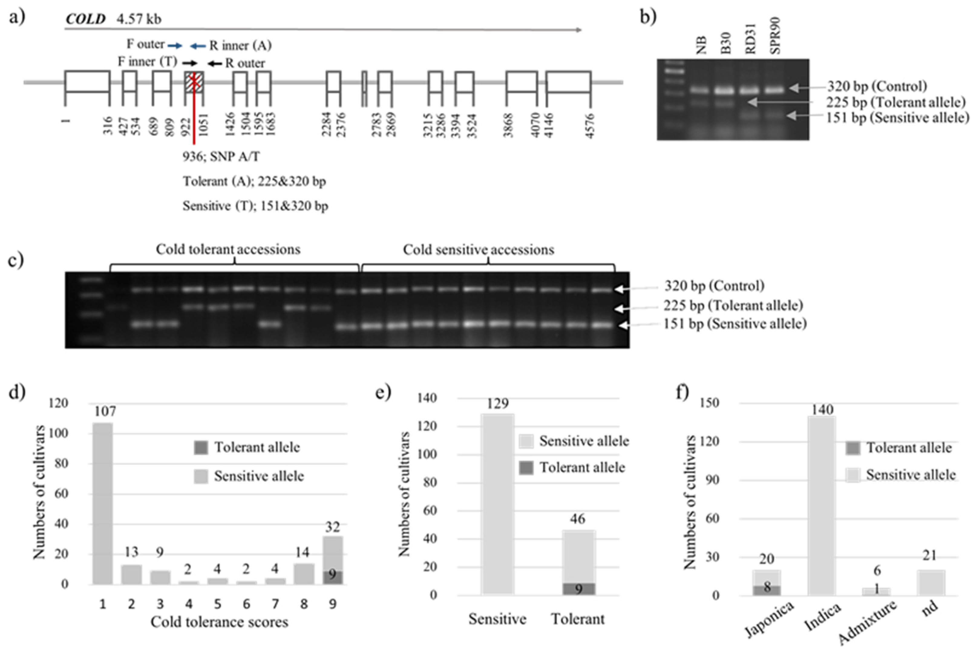 Plants 12 00215 g003 Plants 12 00215 g003