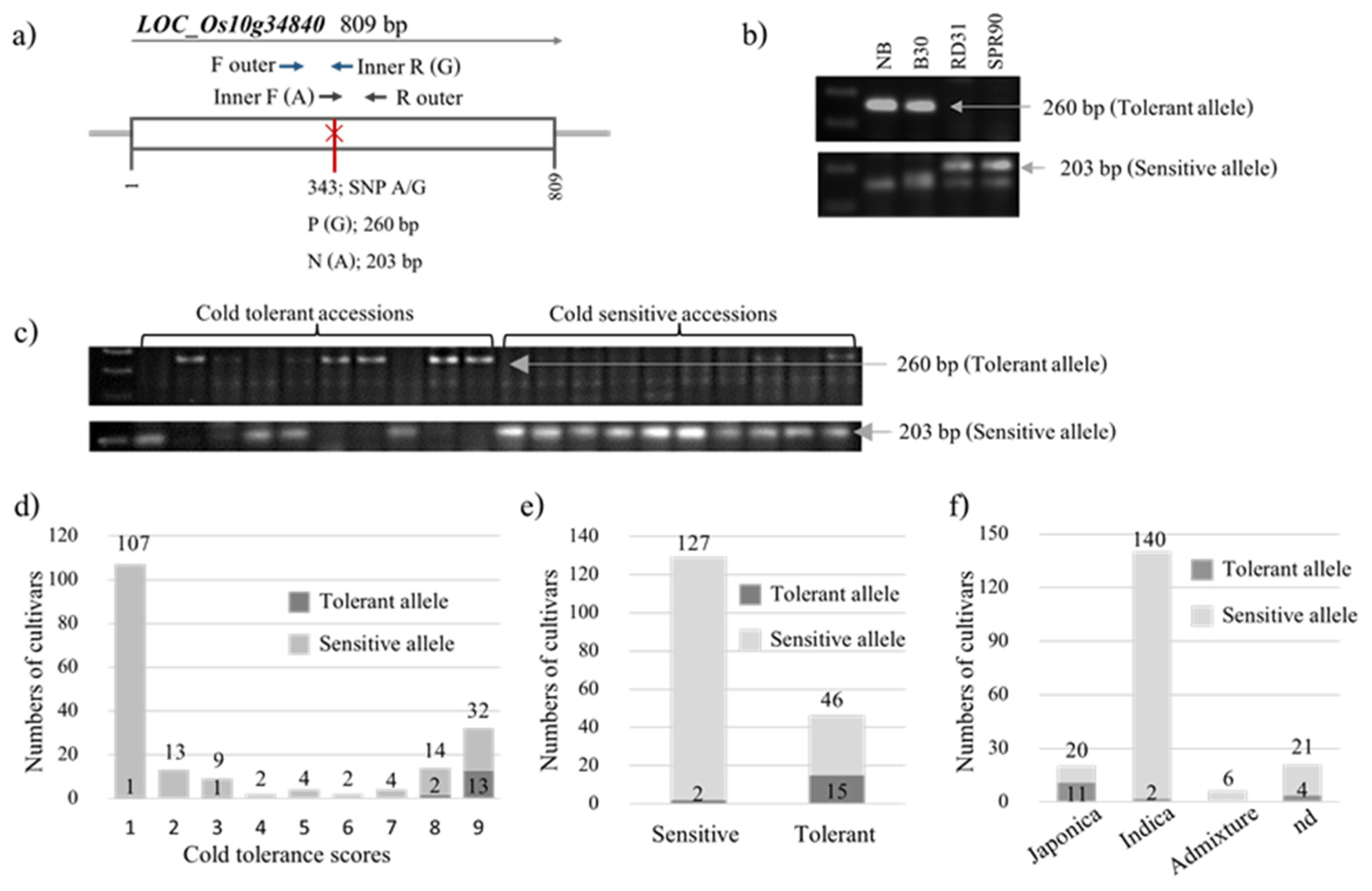 Plants 12 00215 g004 Plants 12 00215 g004