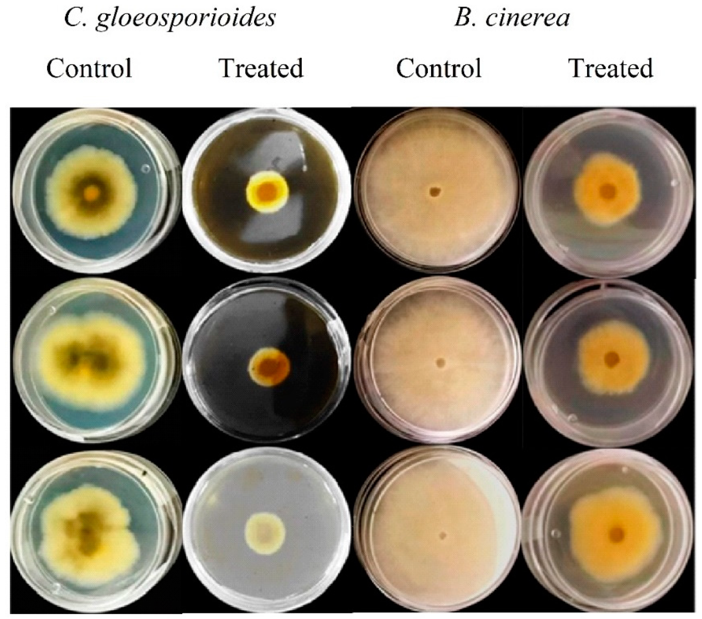 Plants 12 00217 g001 Plants 12 00217 g001