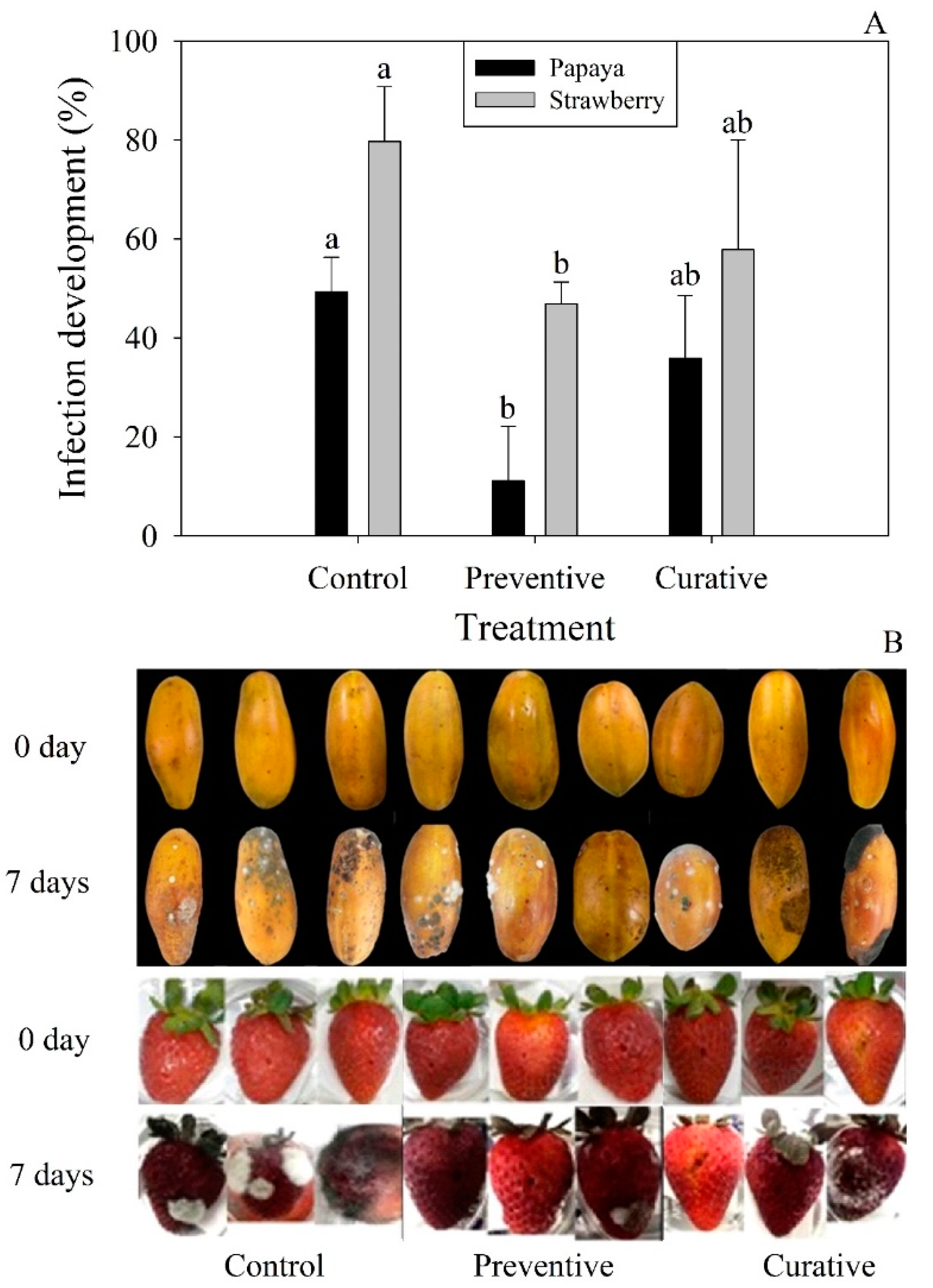 Plants 12 00217 g002 Plants 12 00217 g002