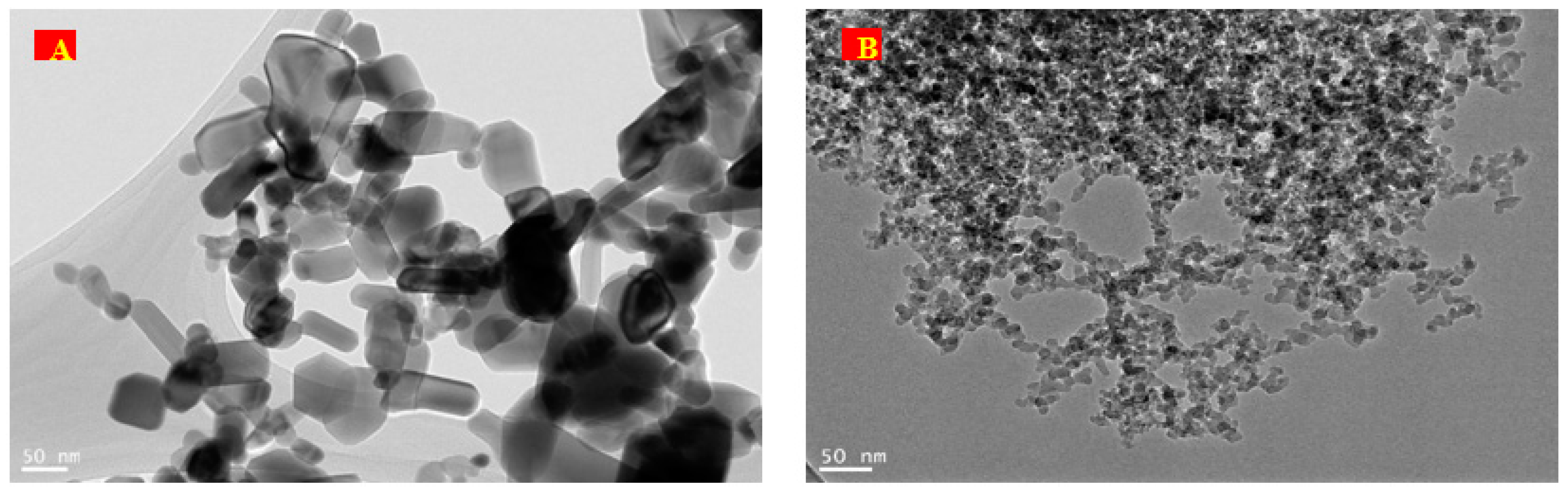 Plants 12 00218 g001