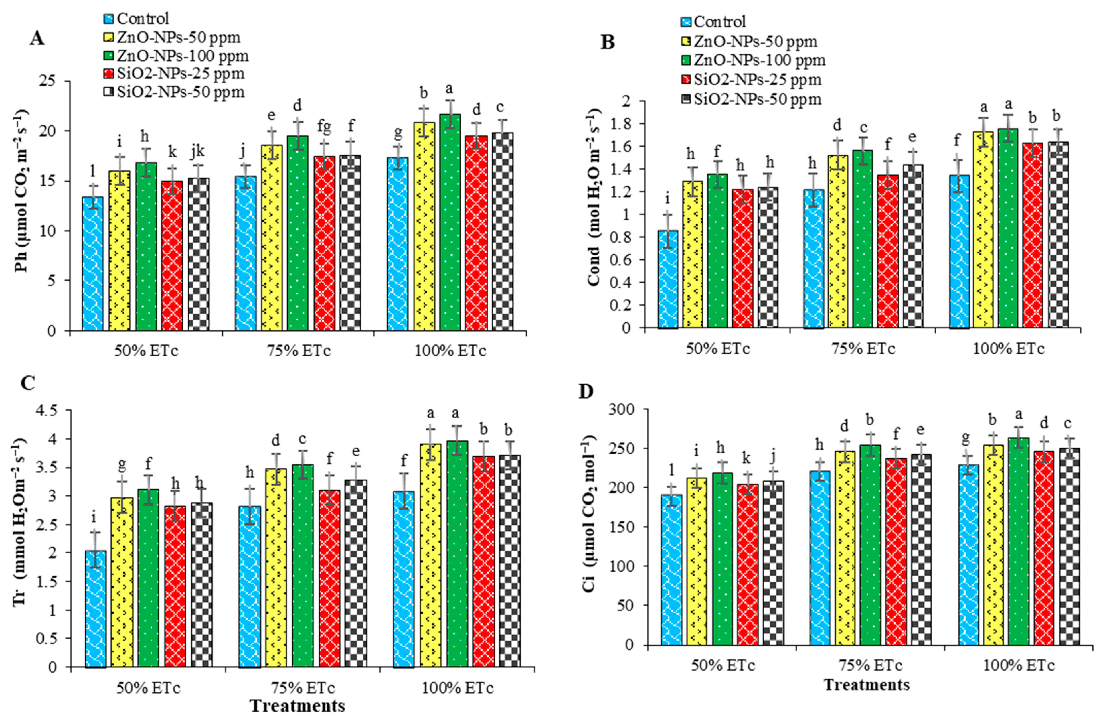 Plants 12 00218 g004