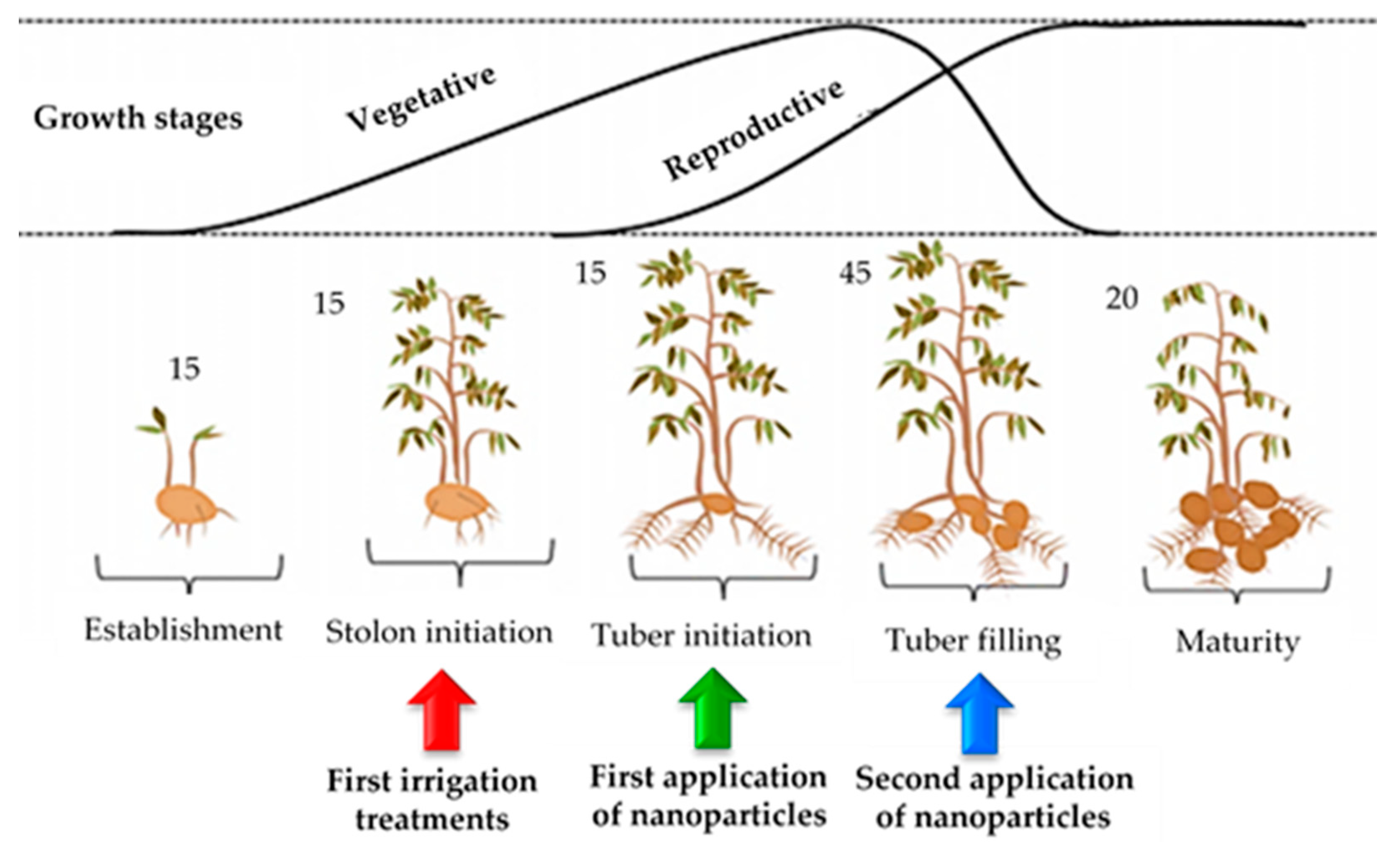 Plants 12 00218 g007