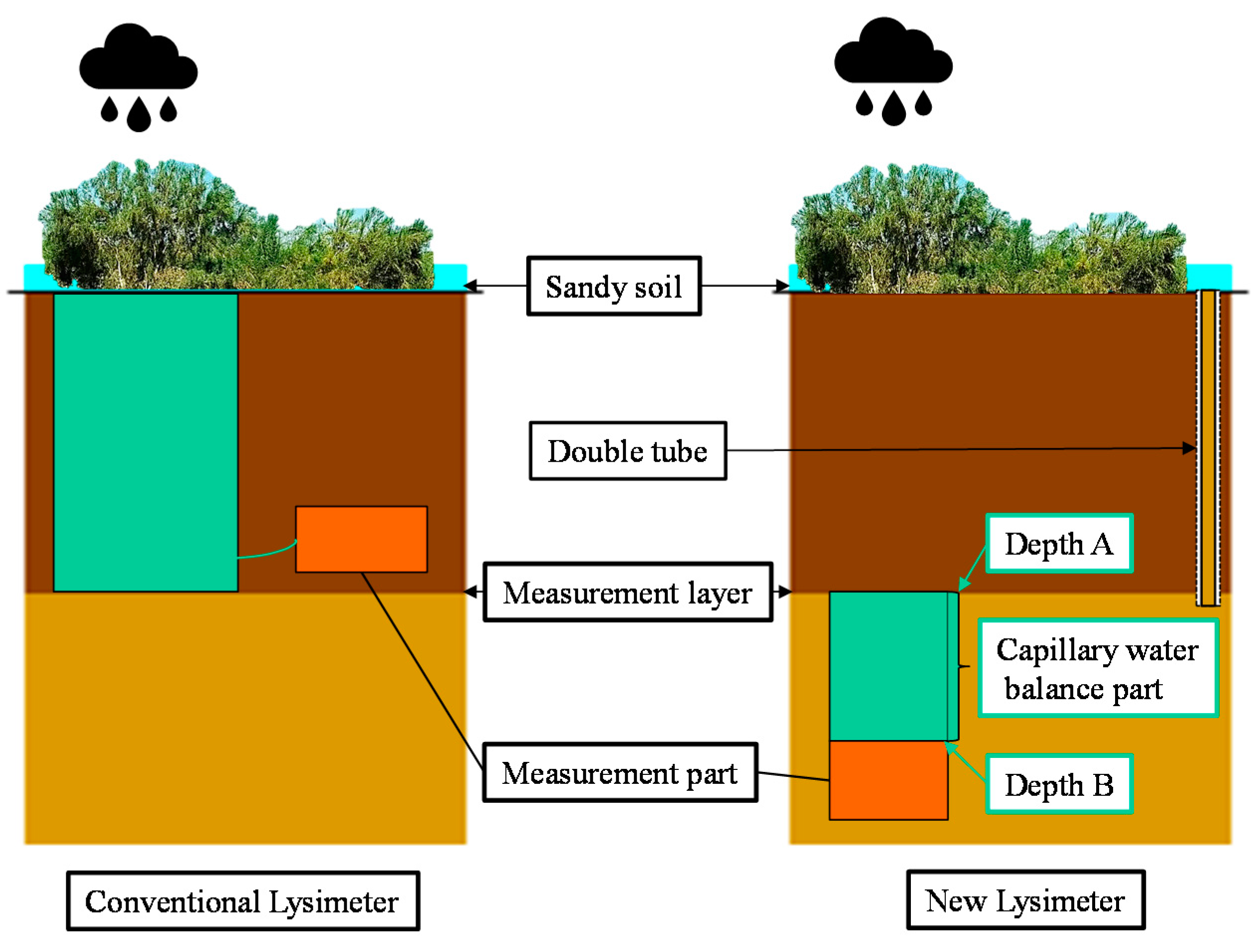 Plants 12 00223 g002