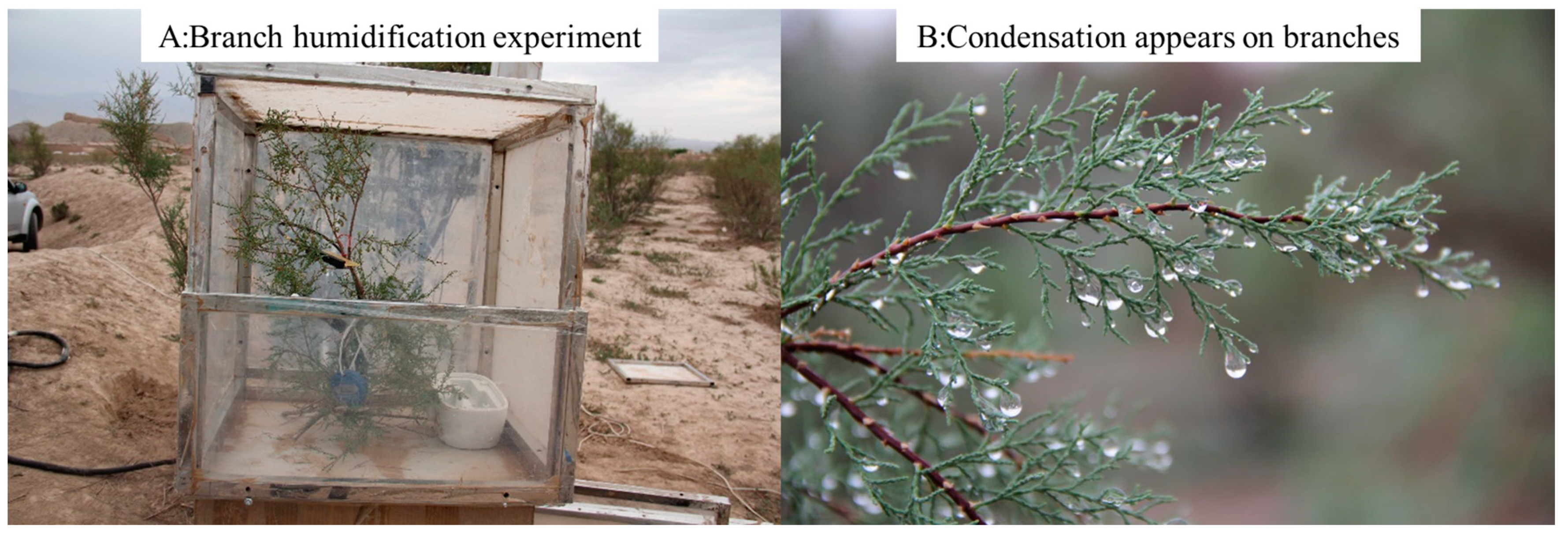 Plants 12 00223 g004