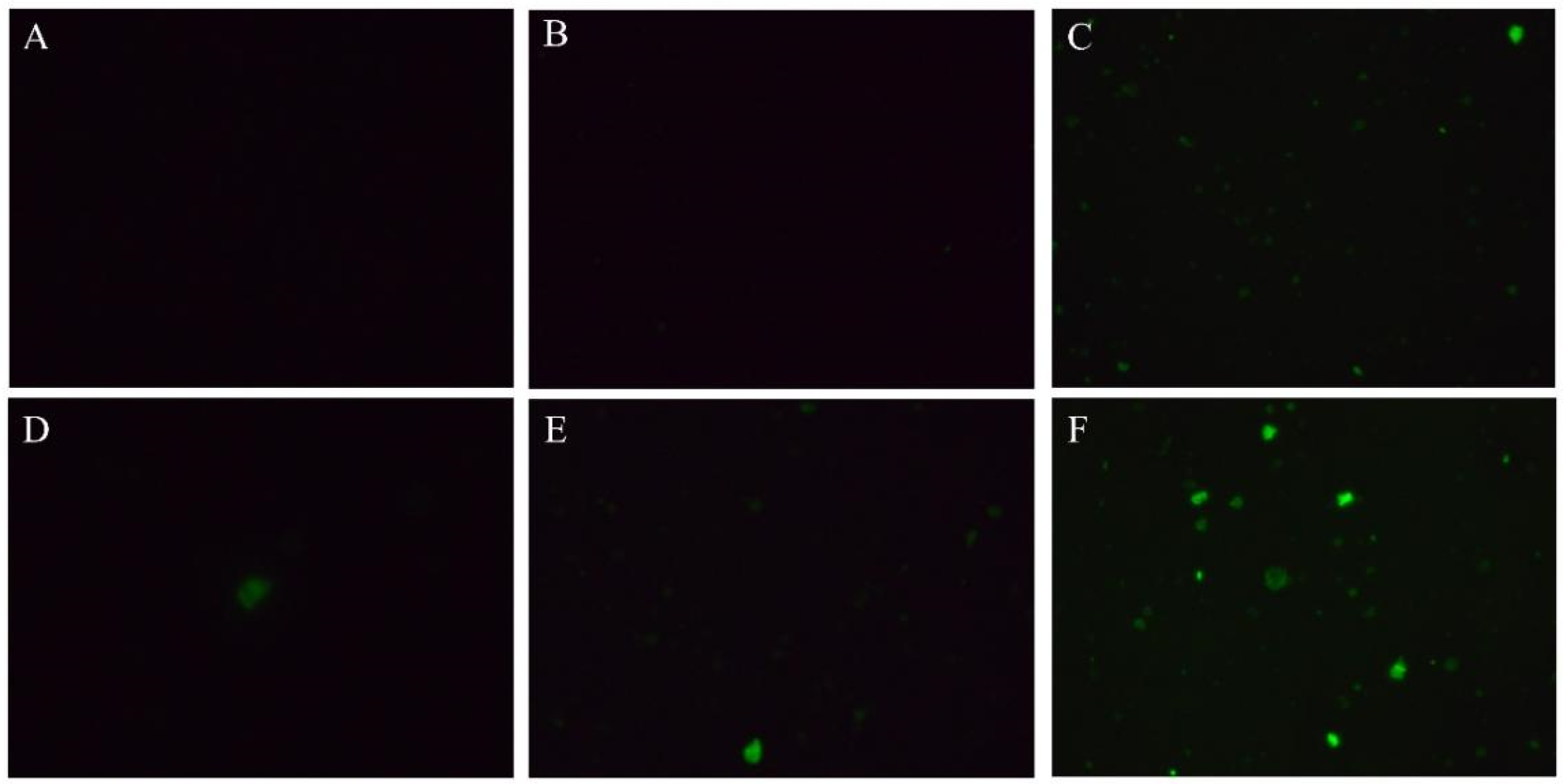 Plants 12 00224 g006