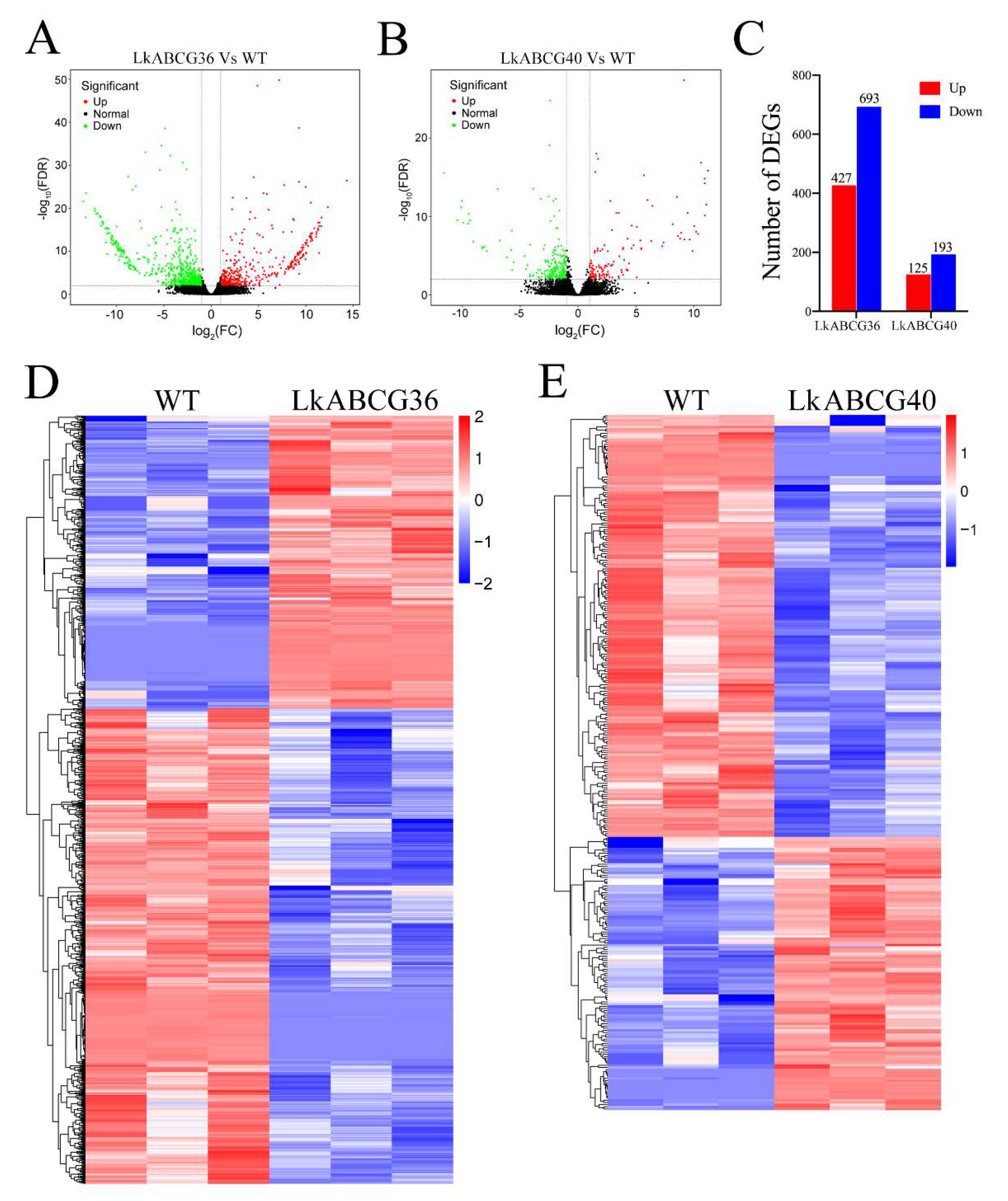 Plants 12 00227 g002