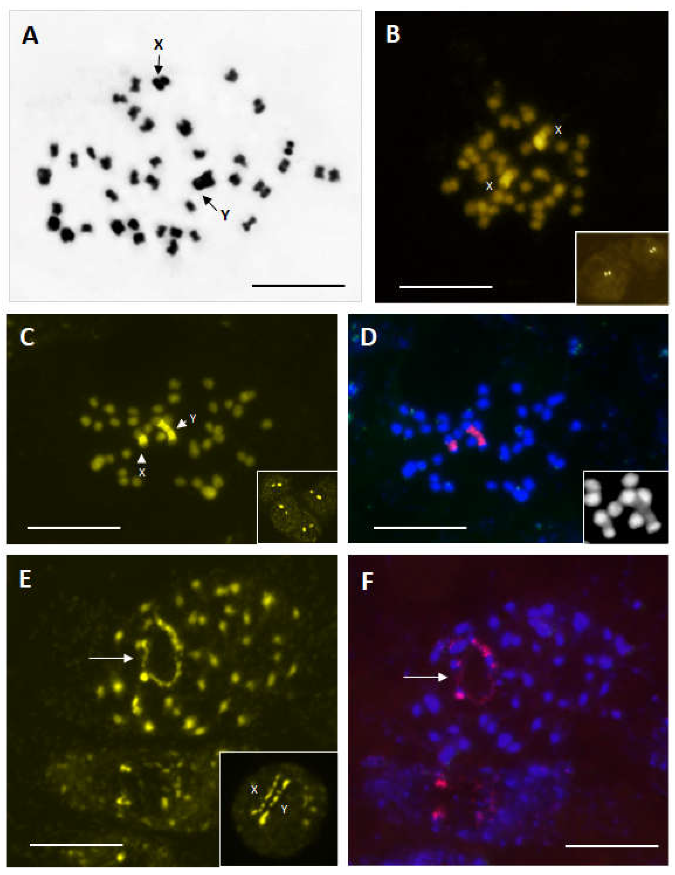 Plants 12 00228 g001 Plants 12 00228 g001