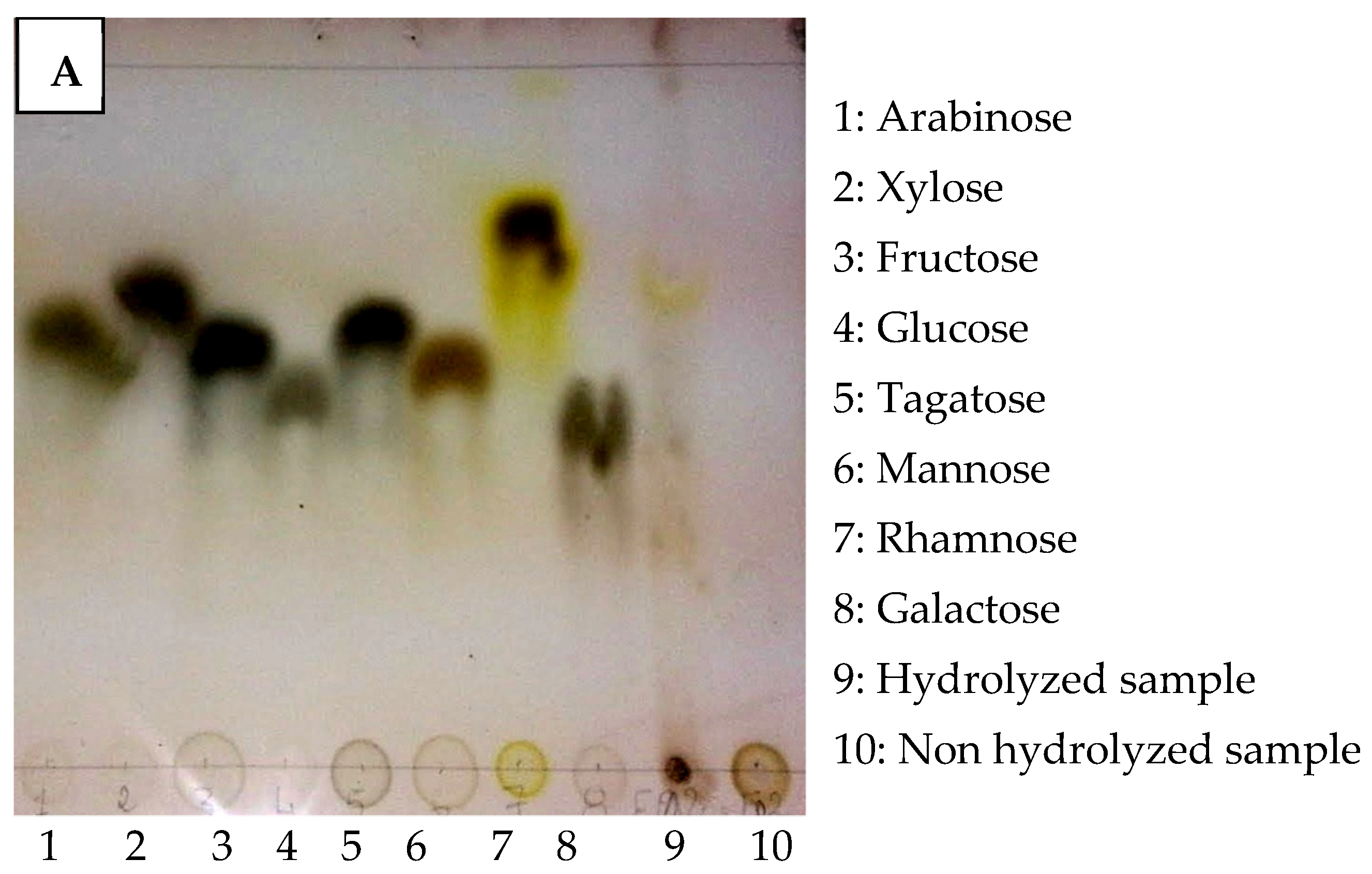 Plants 12 00229 g003a