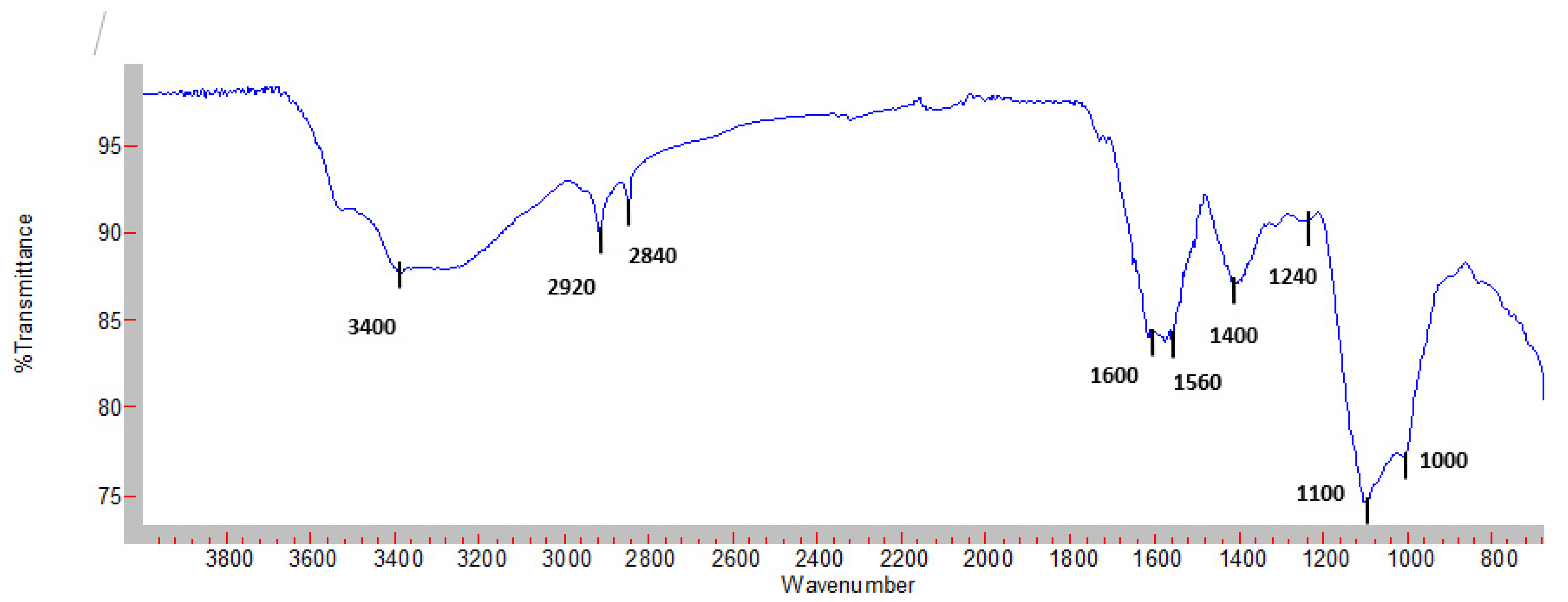 Plants 12 00229 g004