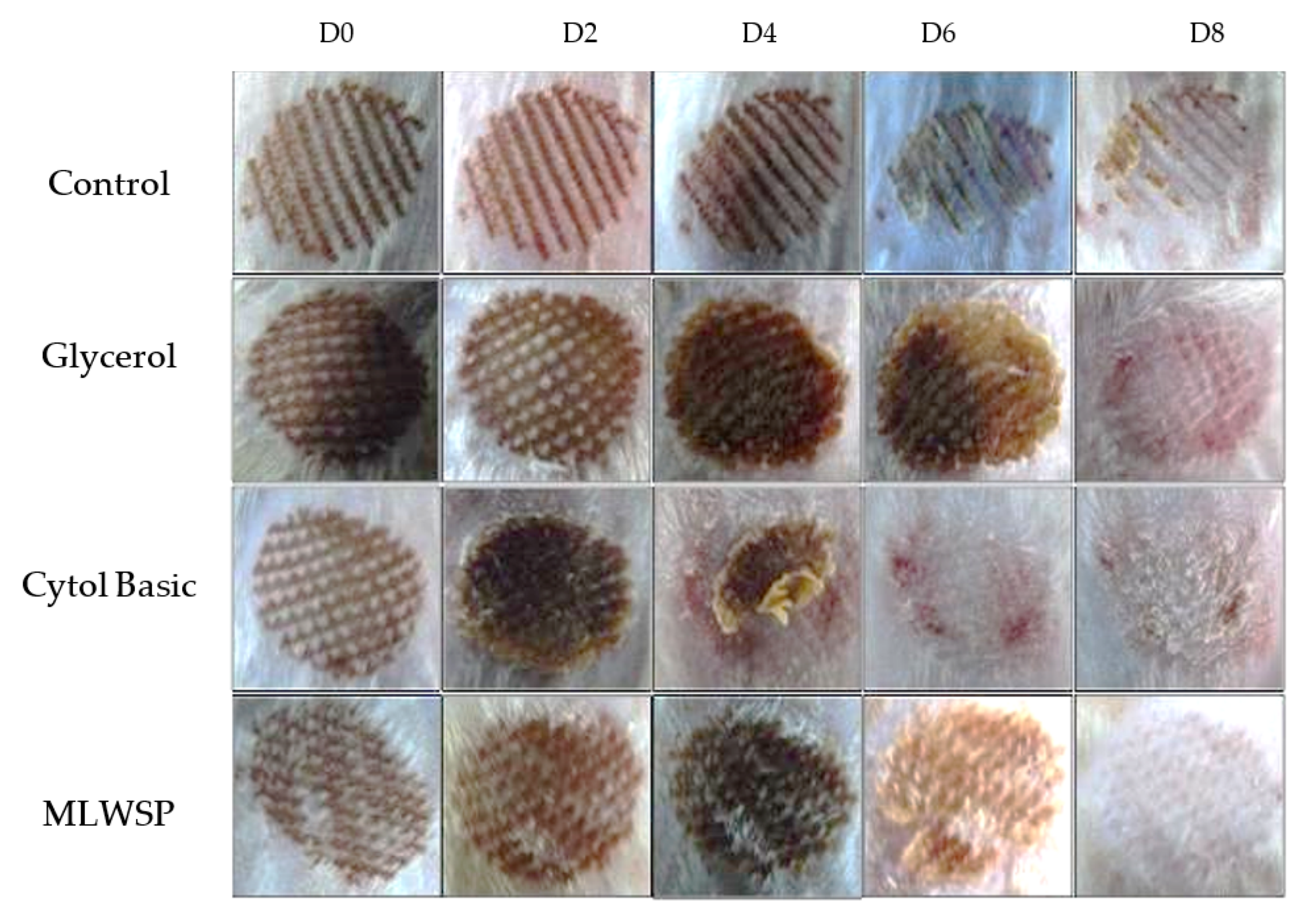 Plants 12 00229 g007