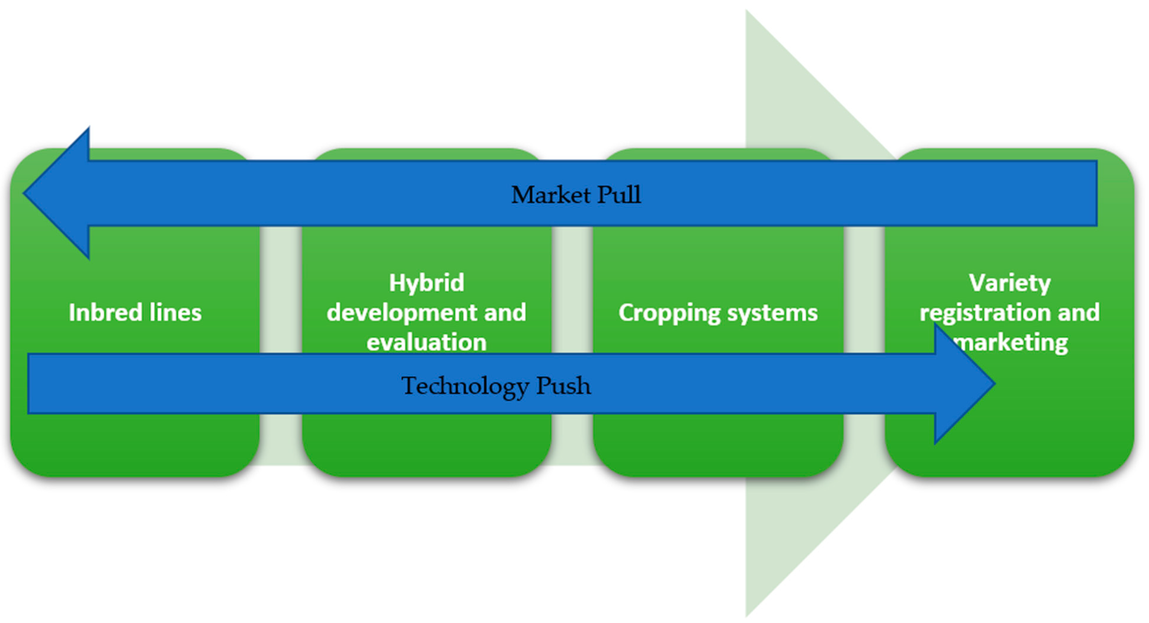 Plants 12 00230 g004 Plants 12 00230 g004