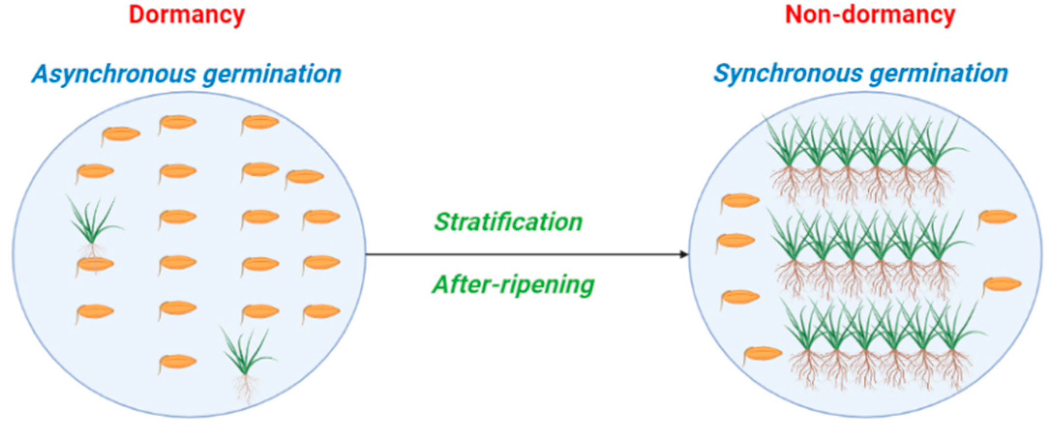Plants 12 00233 g005 Plants 12 00233 g005