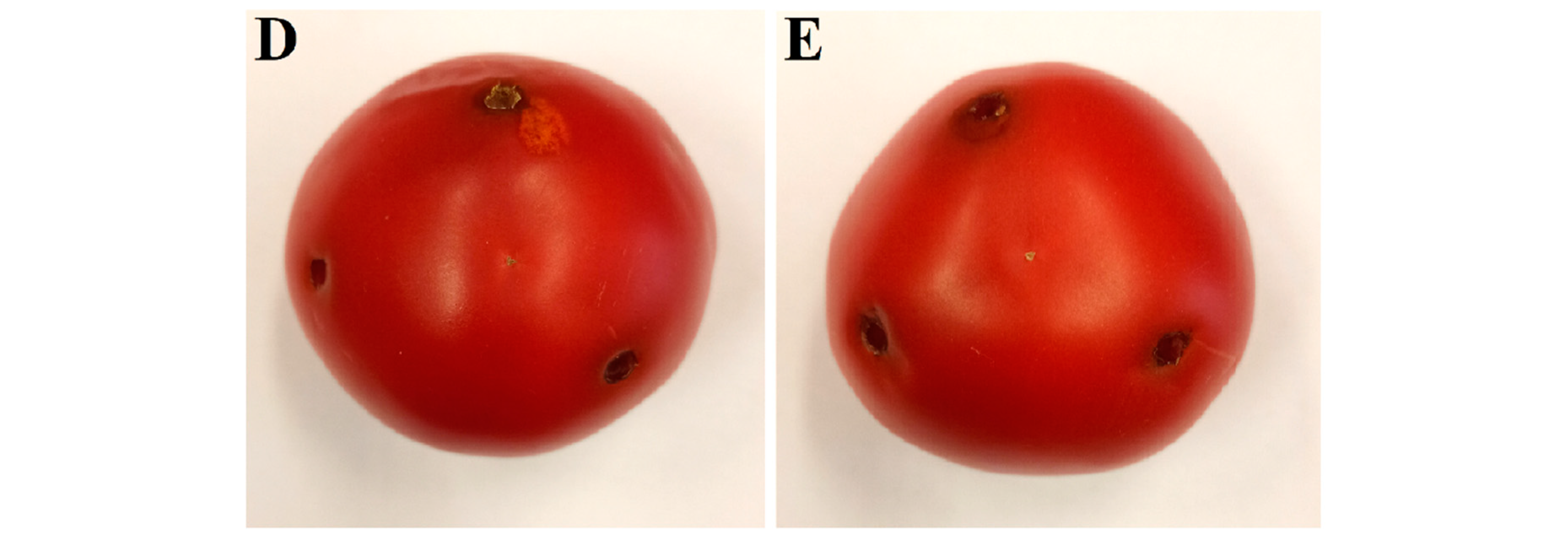 Plants 12 00236 g005b