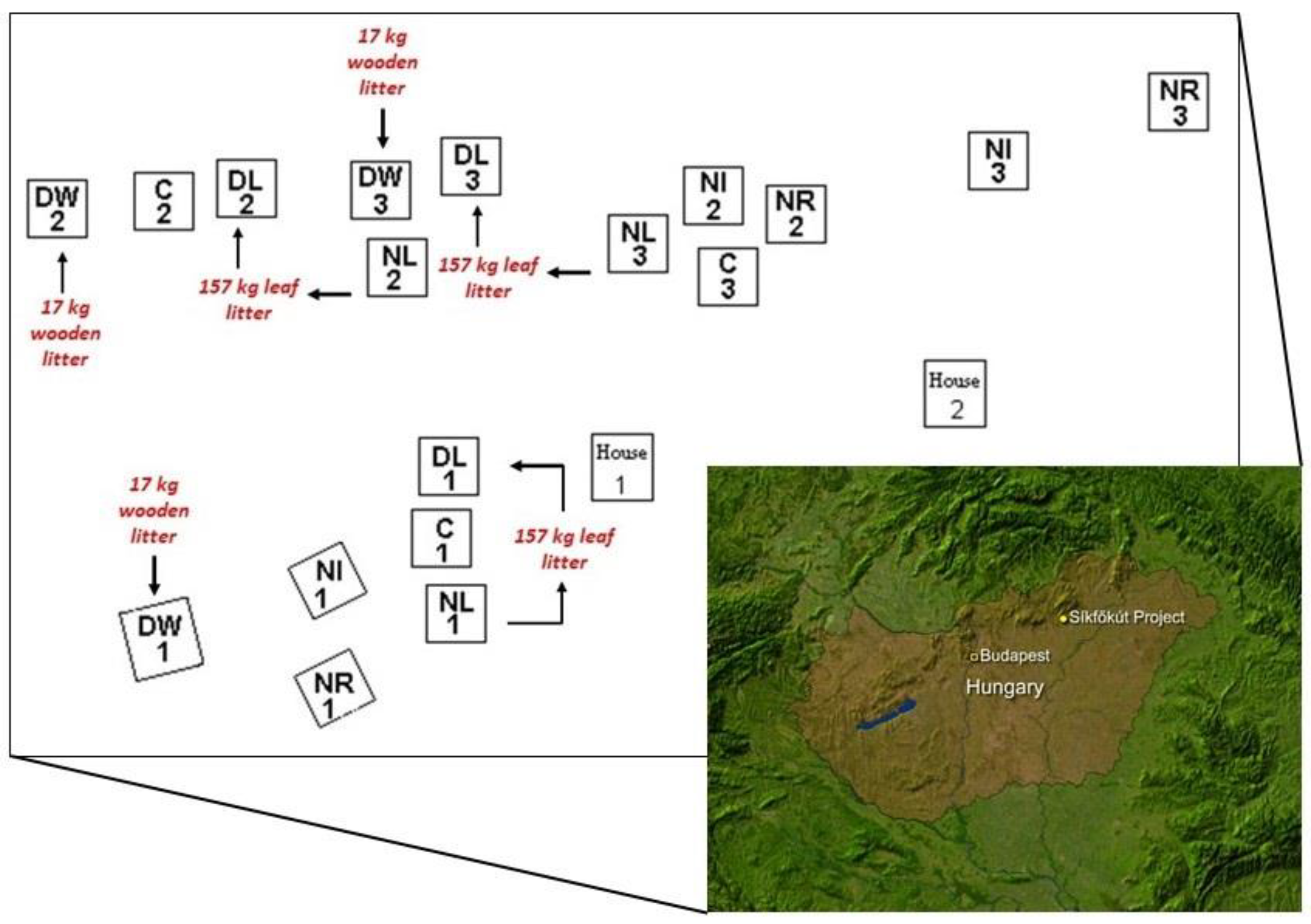 Plants 12 00251 g008 Plants 12 00251 g008