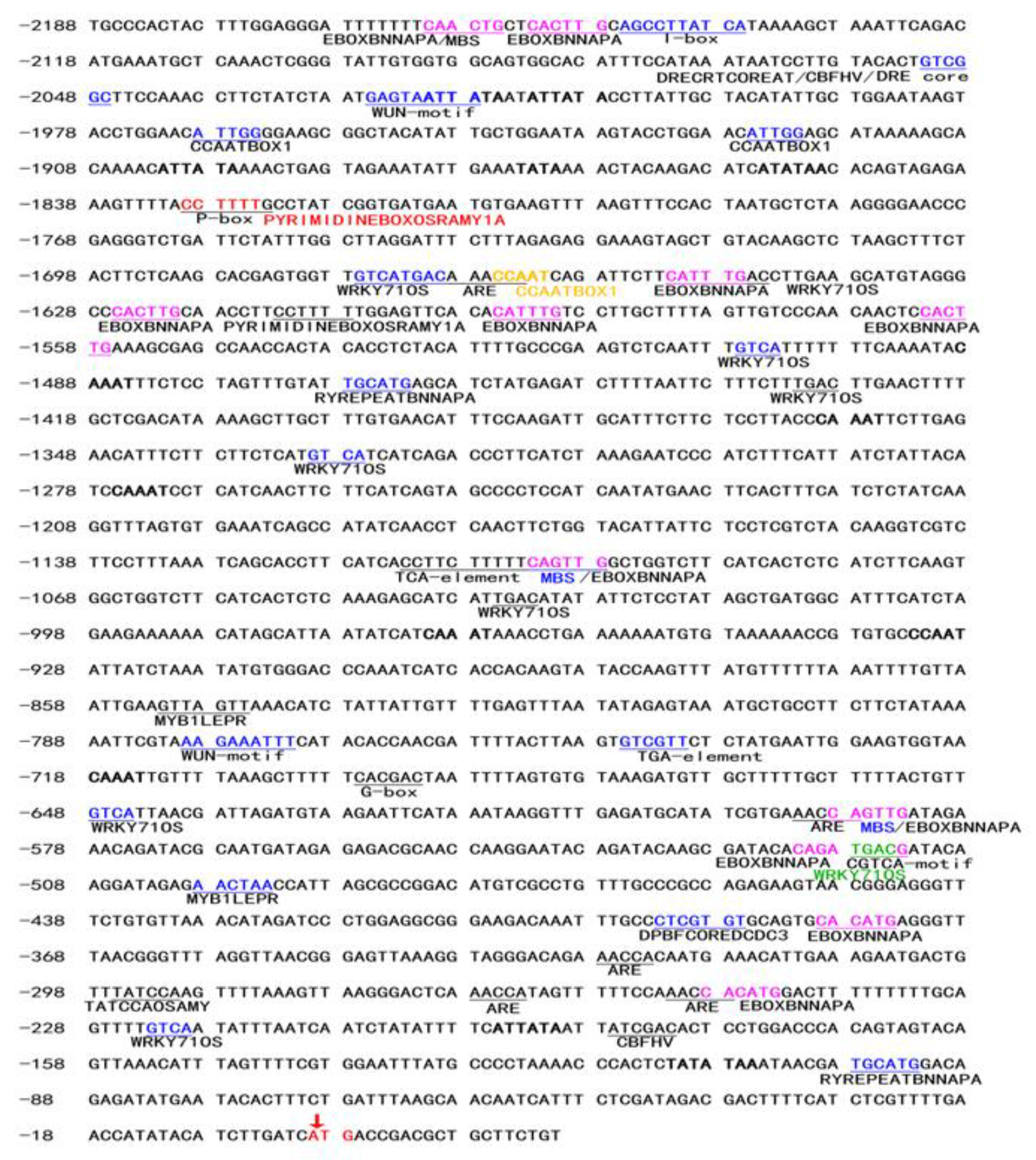 Plants 12 00252 g001 Plants 12 00252 g001