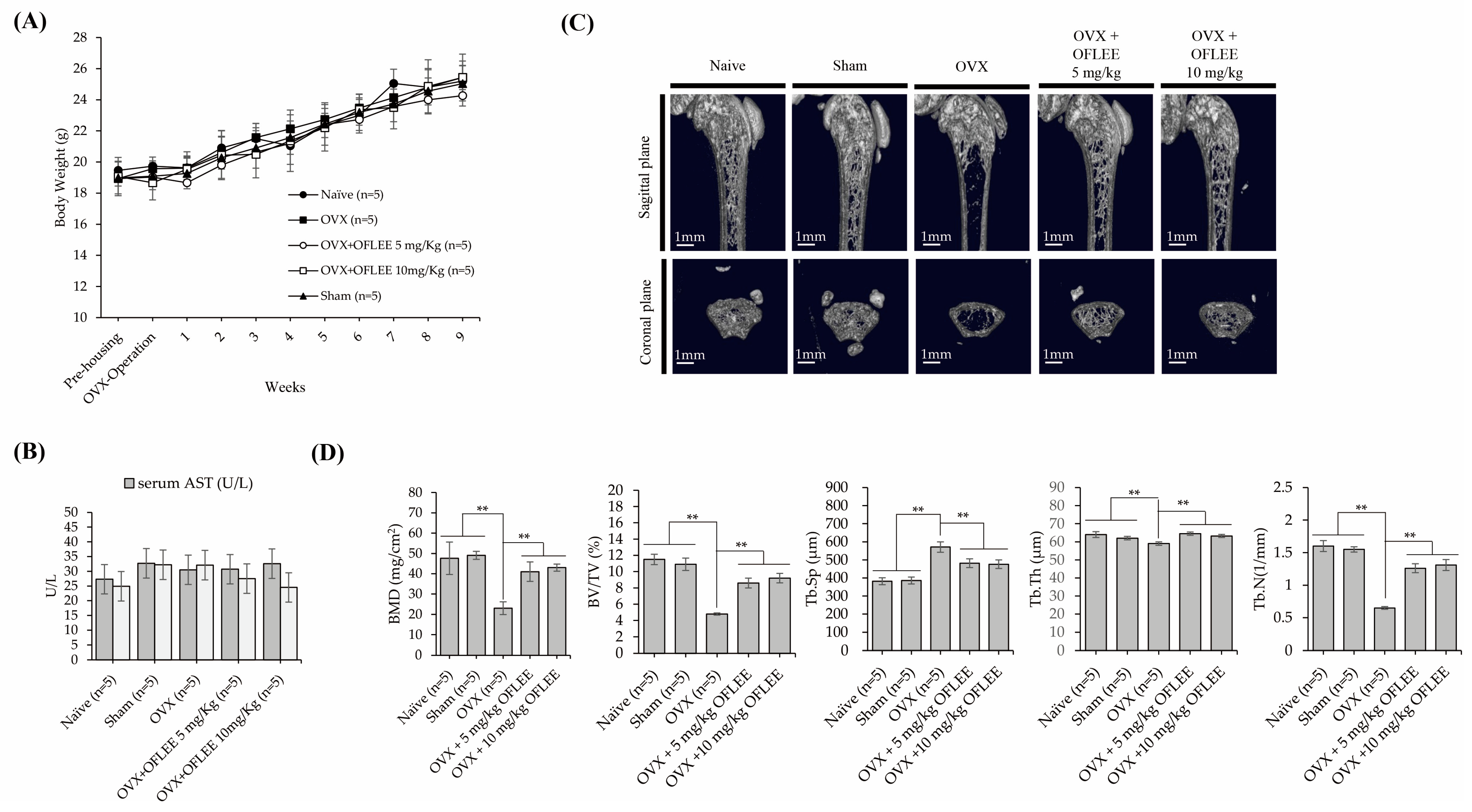 Plants 12 00253 g007 Plants 12 00253 g007