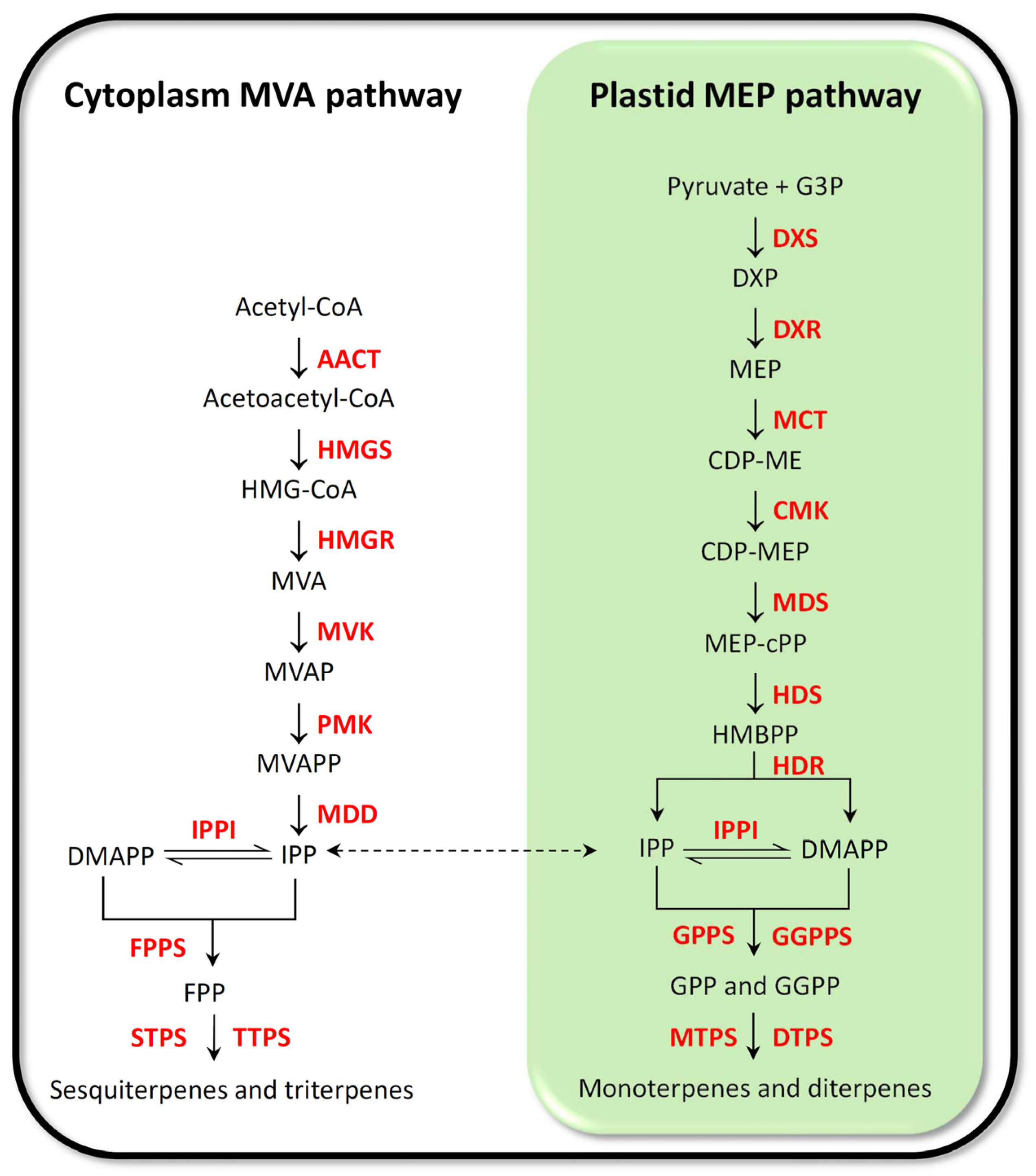 Plants 12 00260 g005