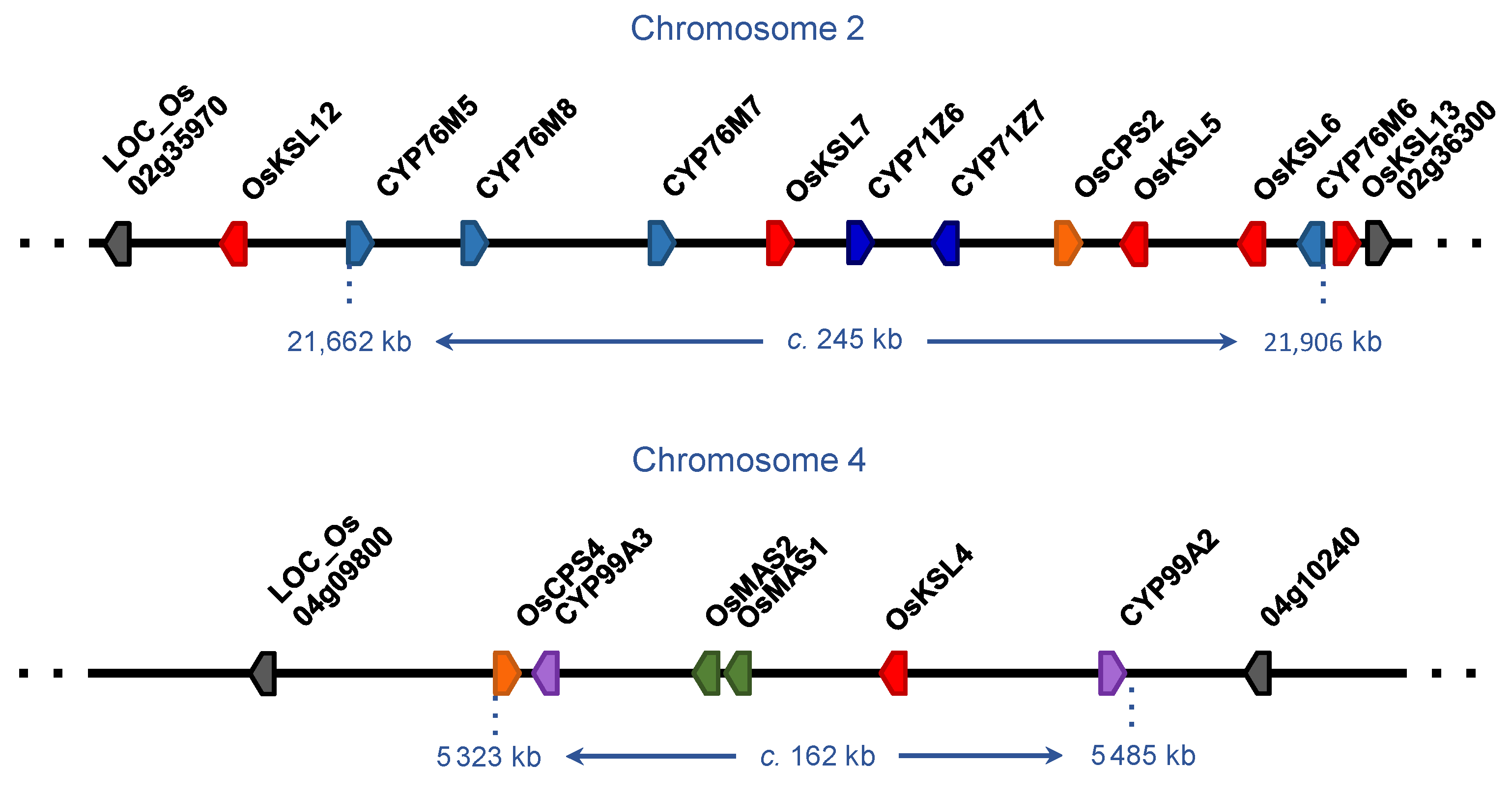 Plants 12 00260 g007