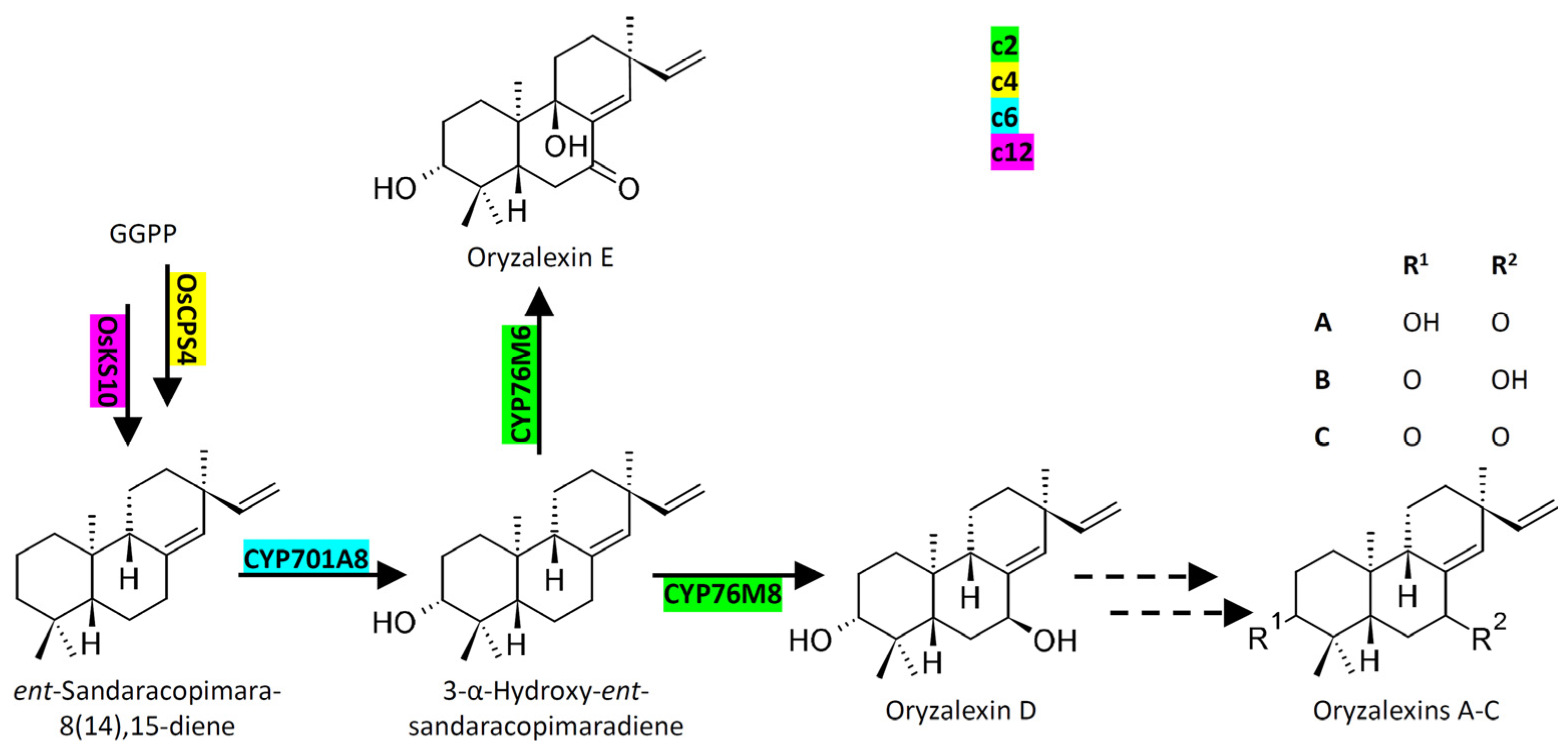Plants 12 00260 g010
