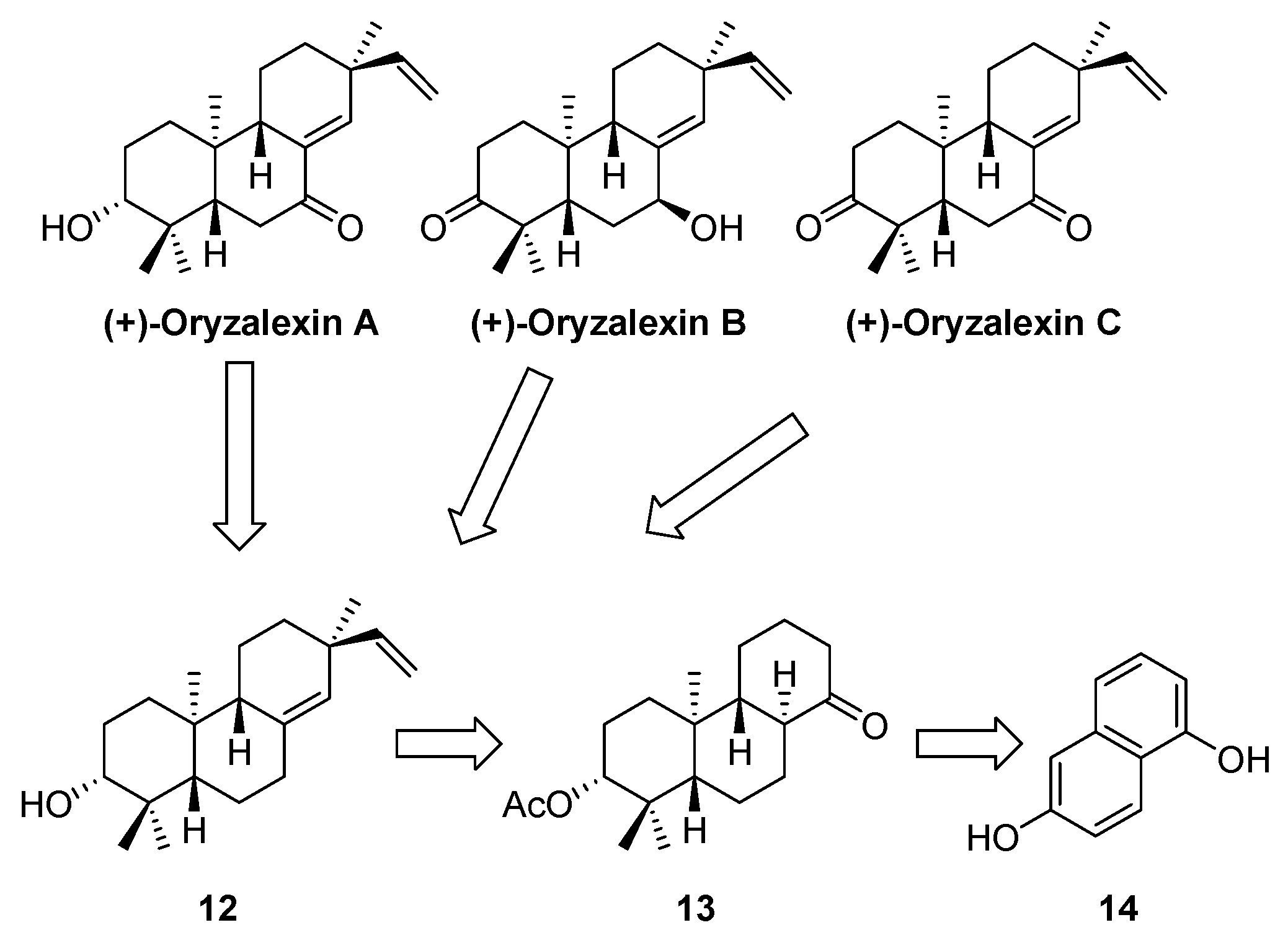Plants 12 00260 sch002