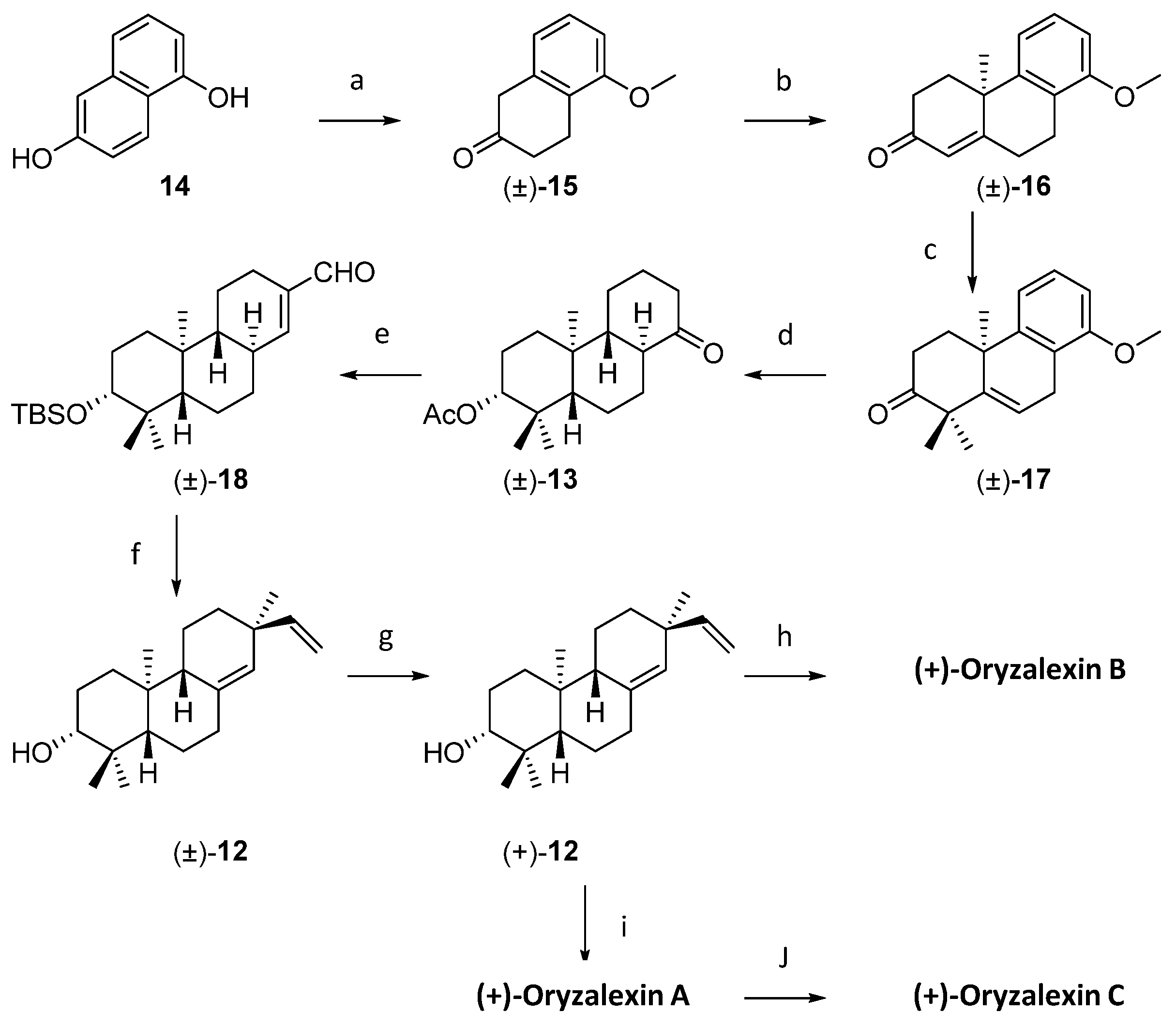 Plants 12 00260 sch003