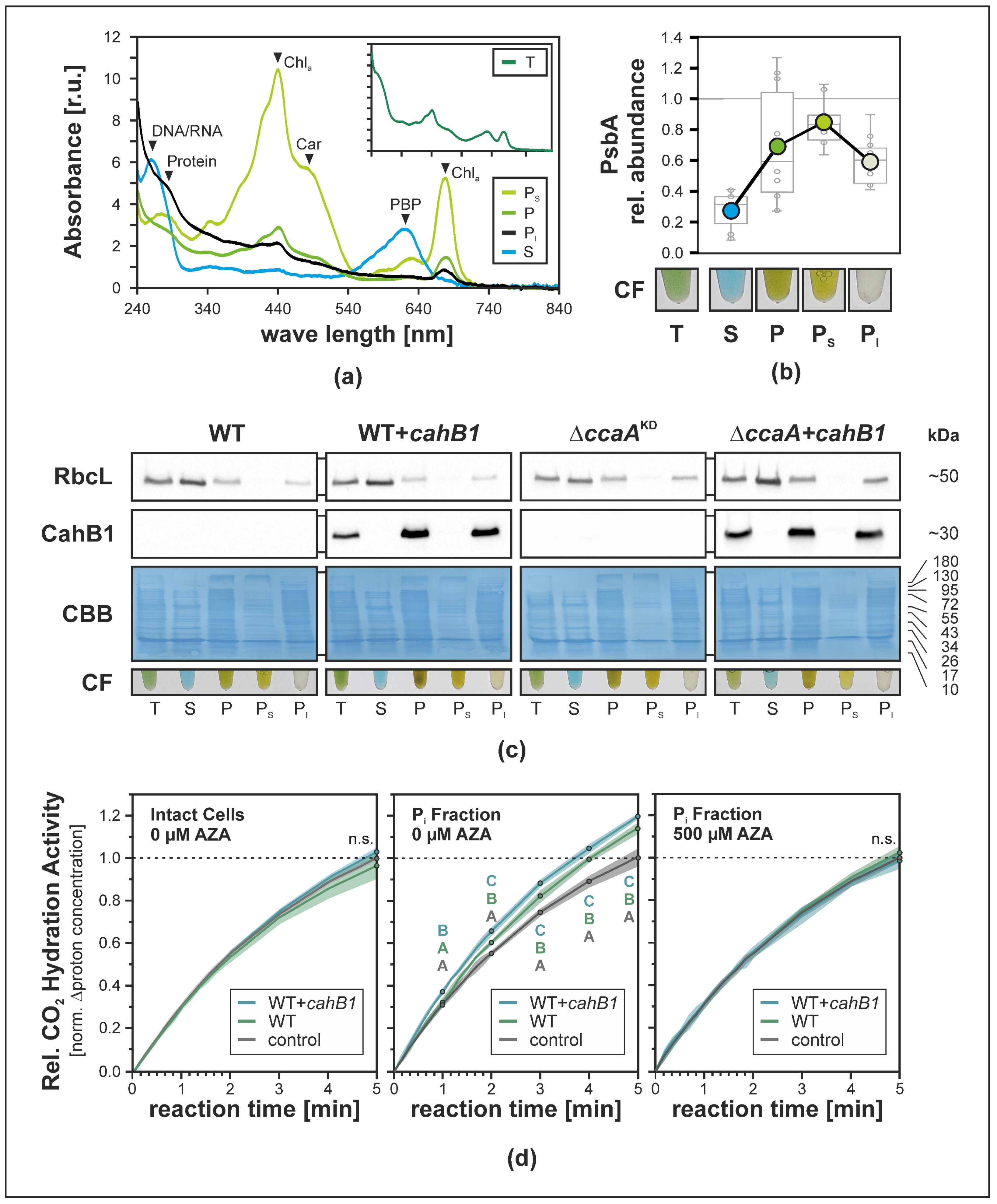 Plants 12 00265 g003 Plants 12 00265 g003