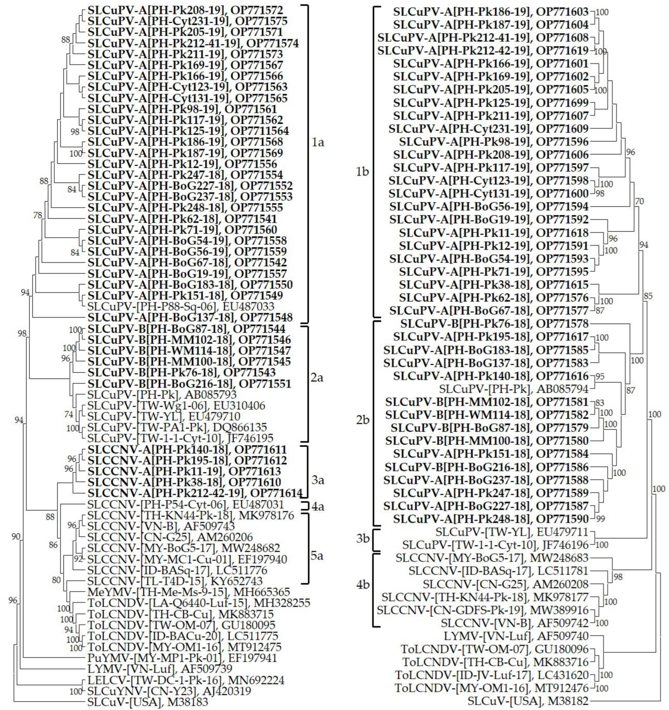Plants 12 00272 g001