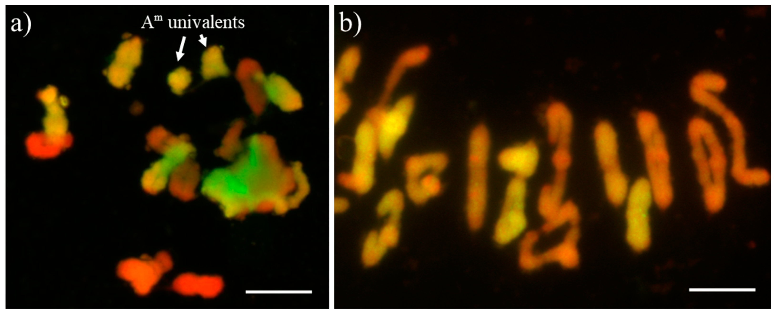 Plants 12 00278 g004 Plants 12 00278 g004