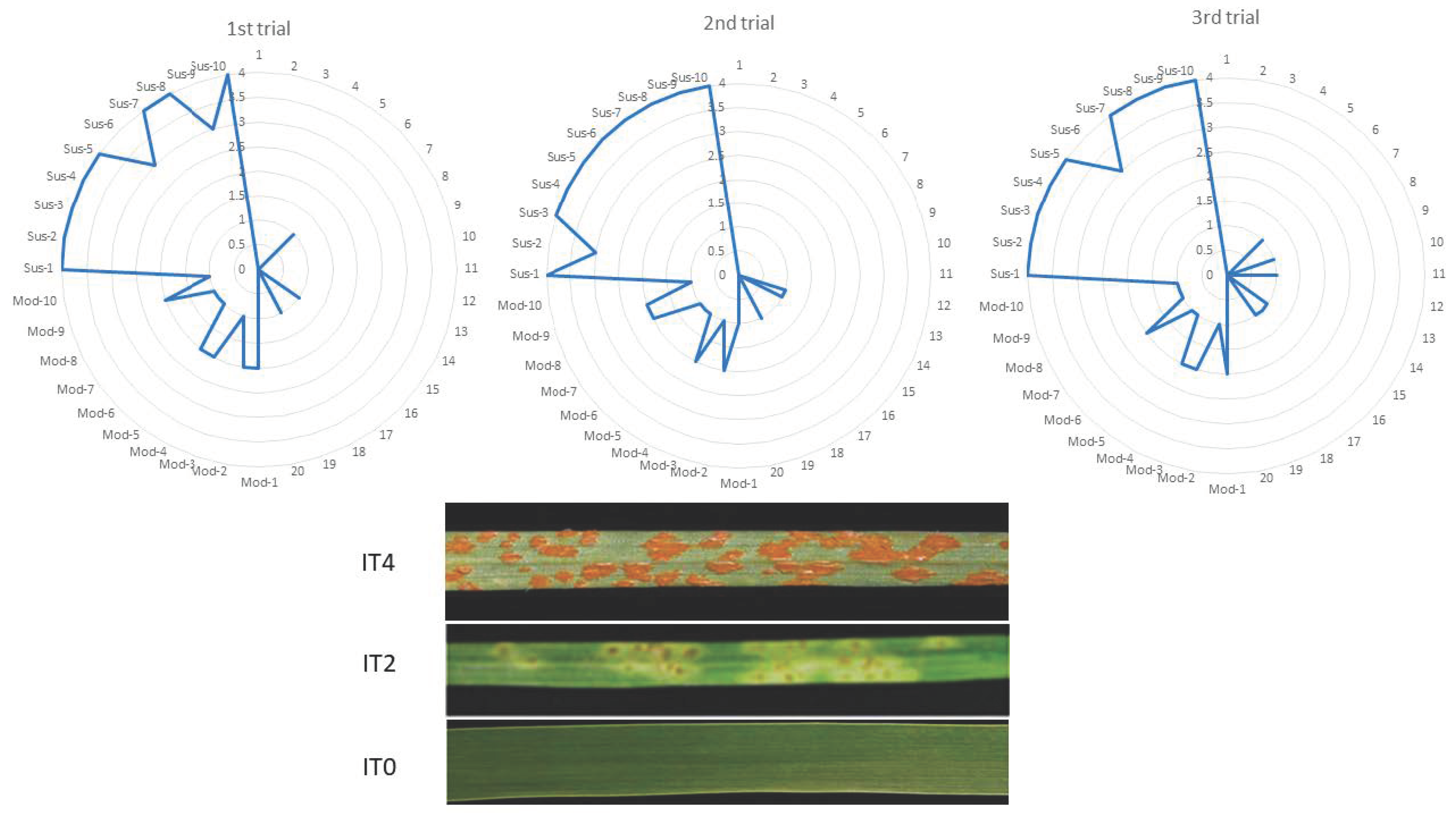 Plants 12 00278 g005 Plants 12 00278 g005