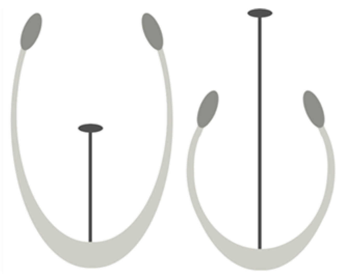 Plants 12 00286 g001