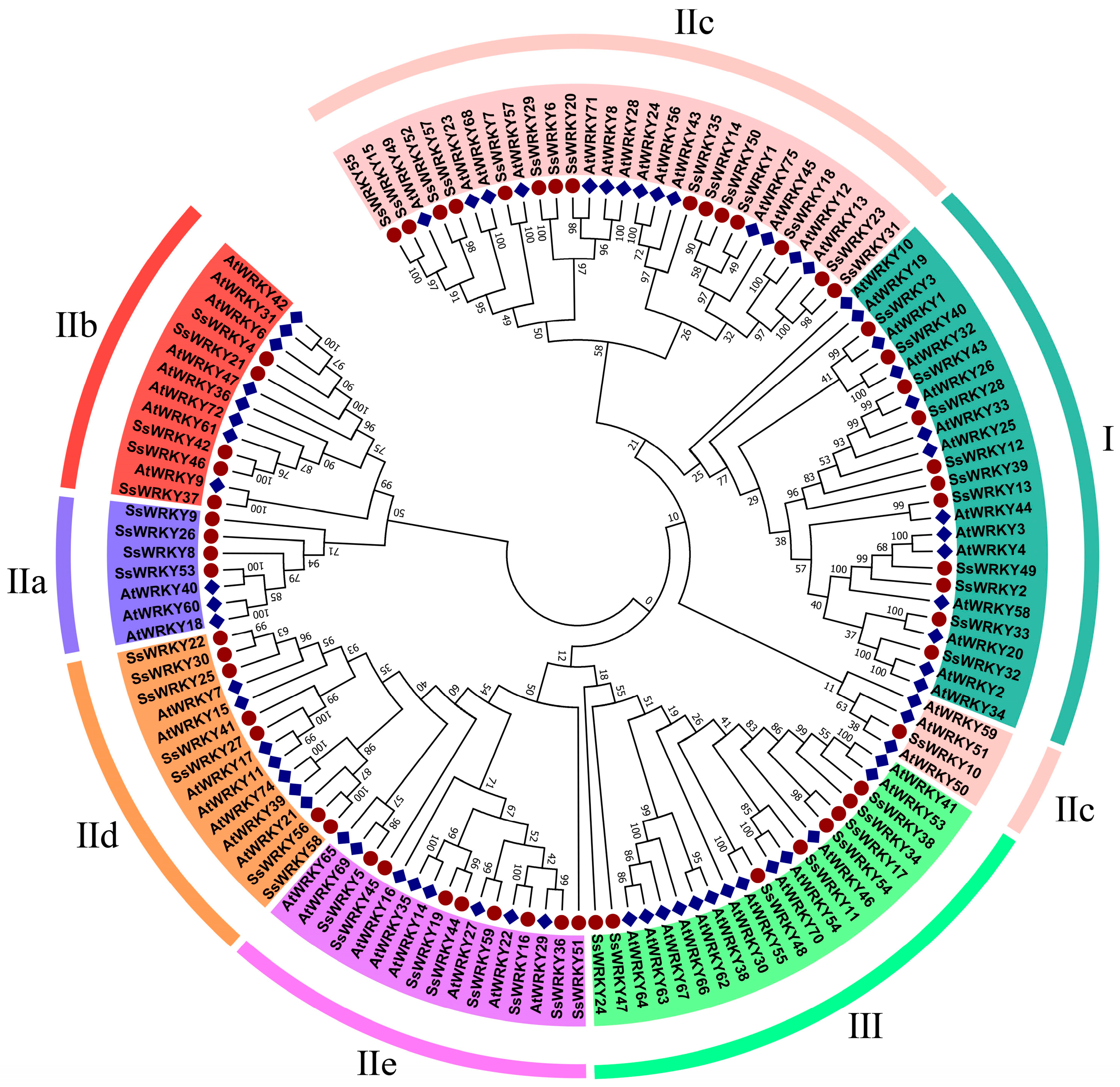 Plants 12 00288 g001 Plants 12 00288 g001