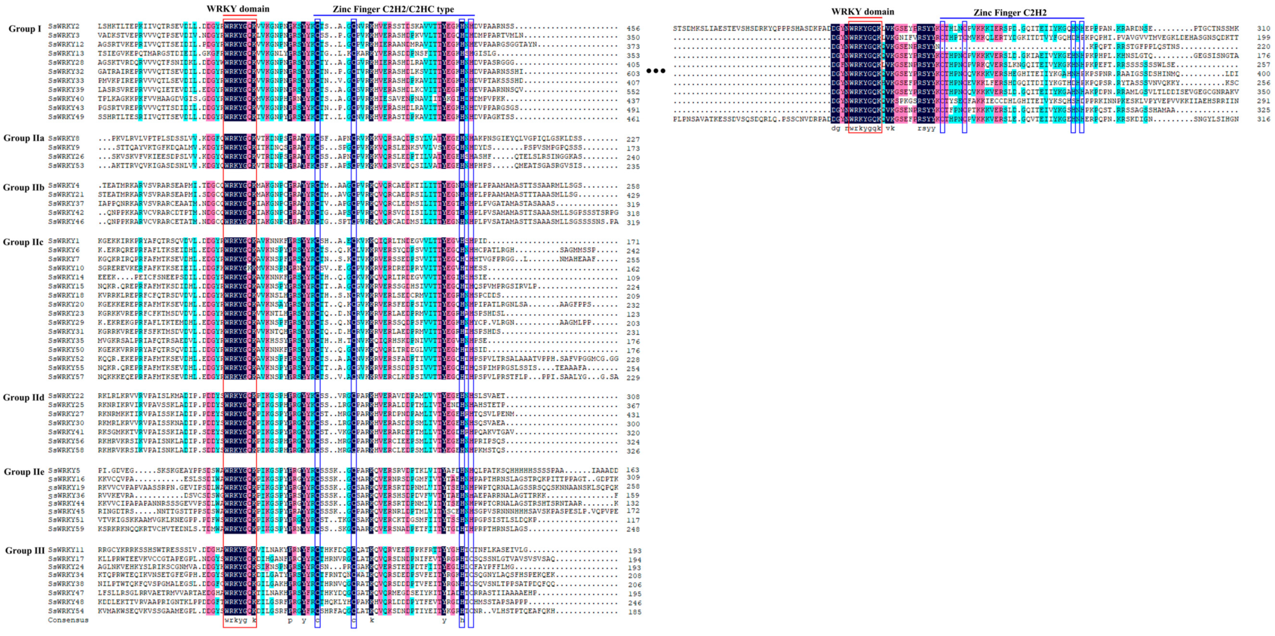 Plants 12 00288 g002 Plants 12 00288 g002