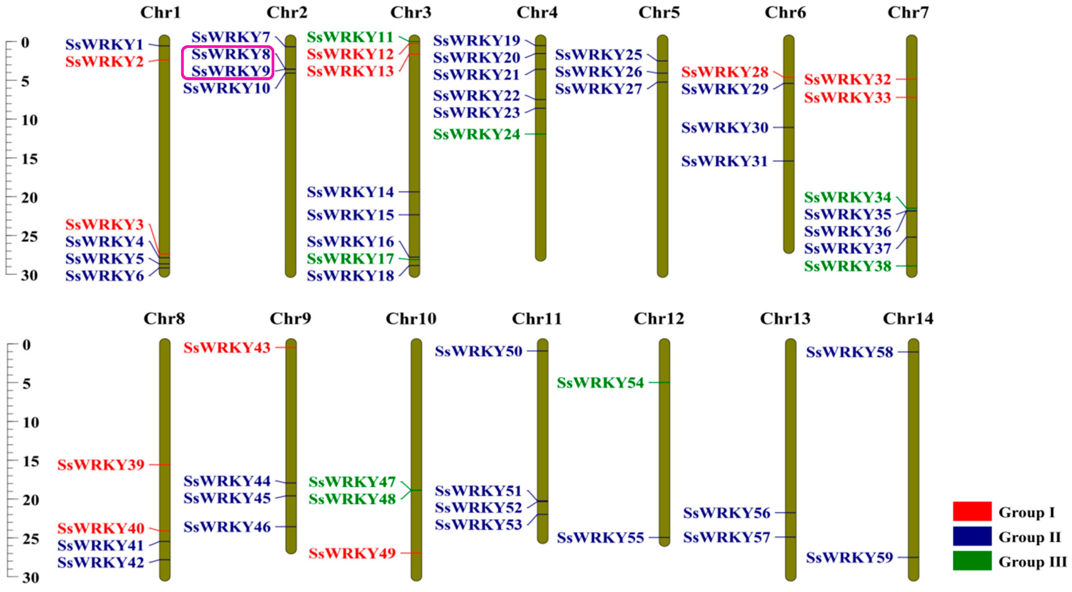 Plants 12 00288 g004 Plants 12 00288 g004