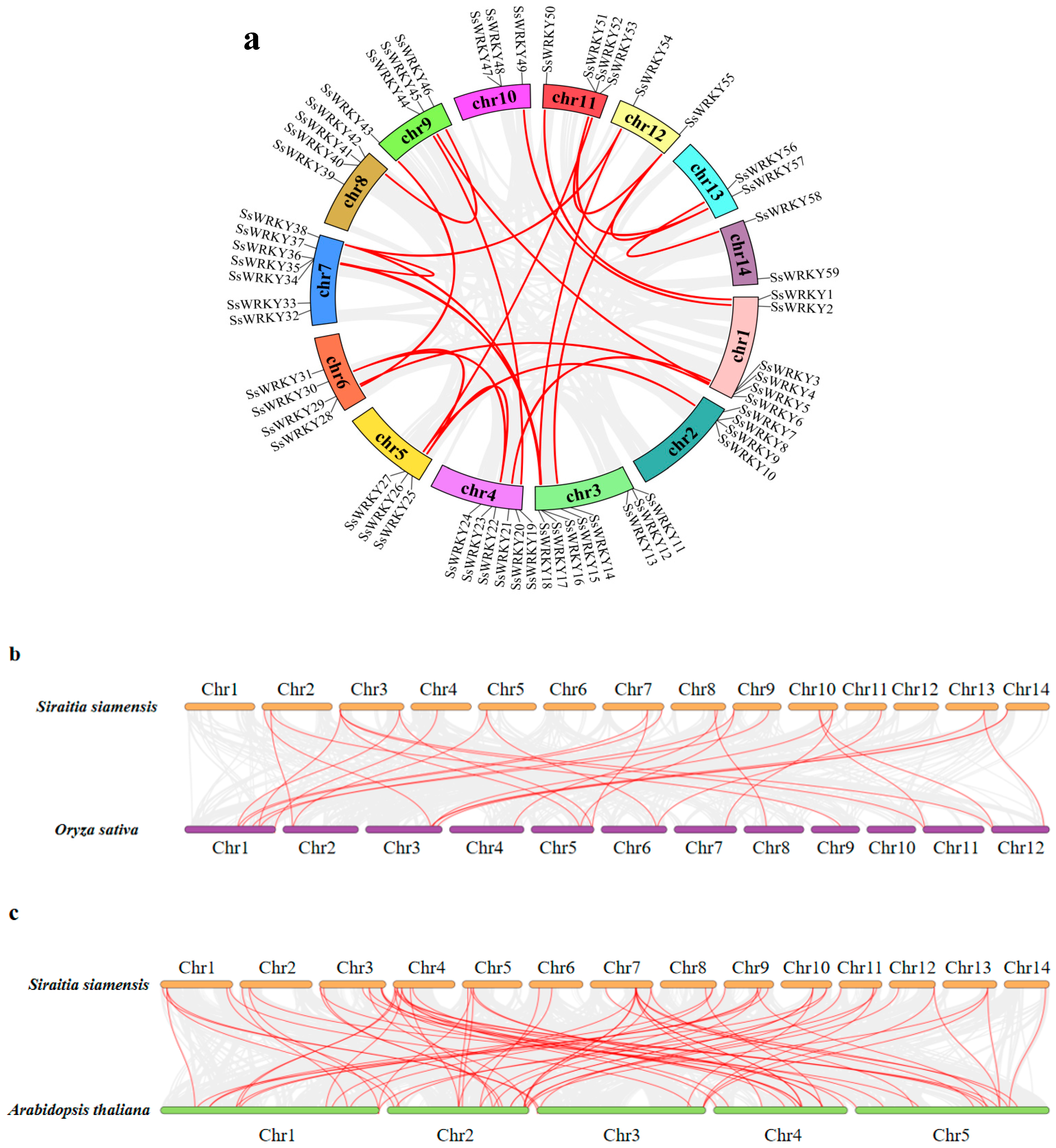 Plants 12 00288 g005a Plants 12 00288 g005a