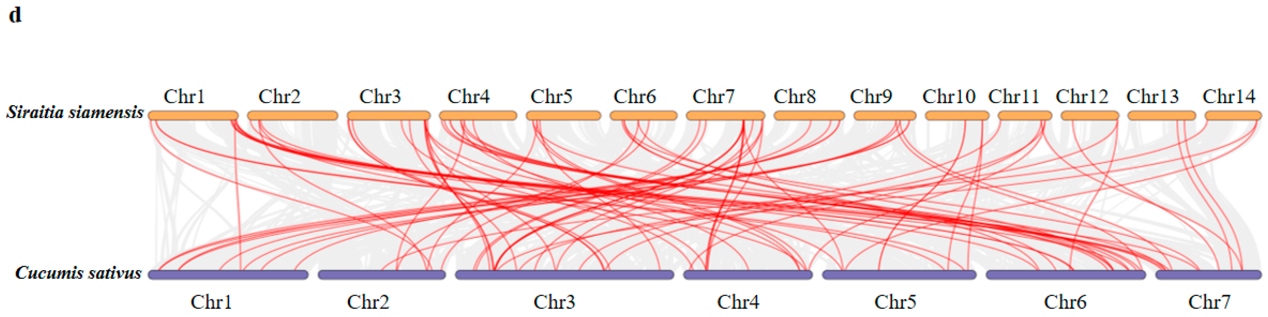 Plants 12 00288 g005b Plants 12 00288 g005b