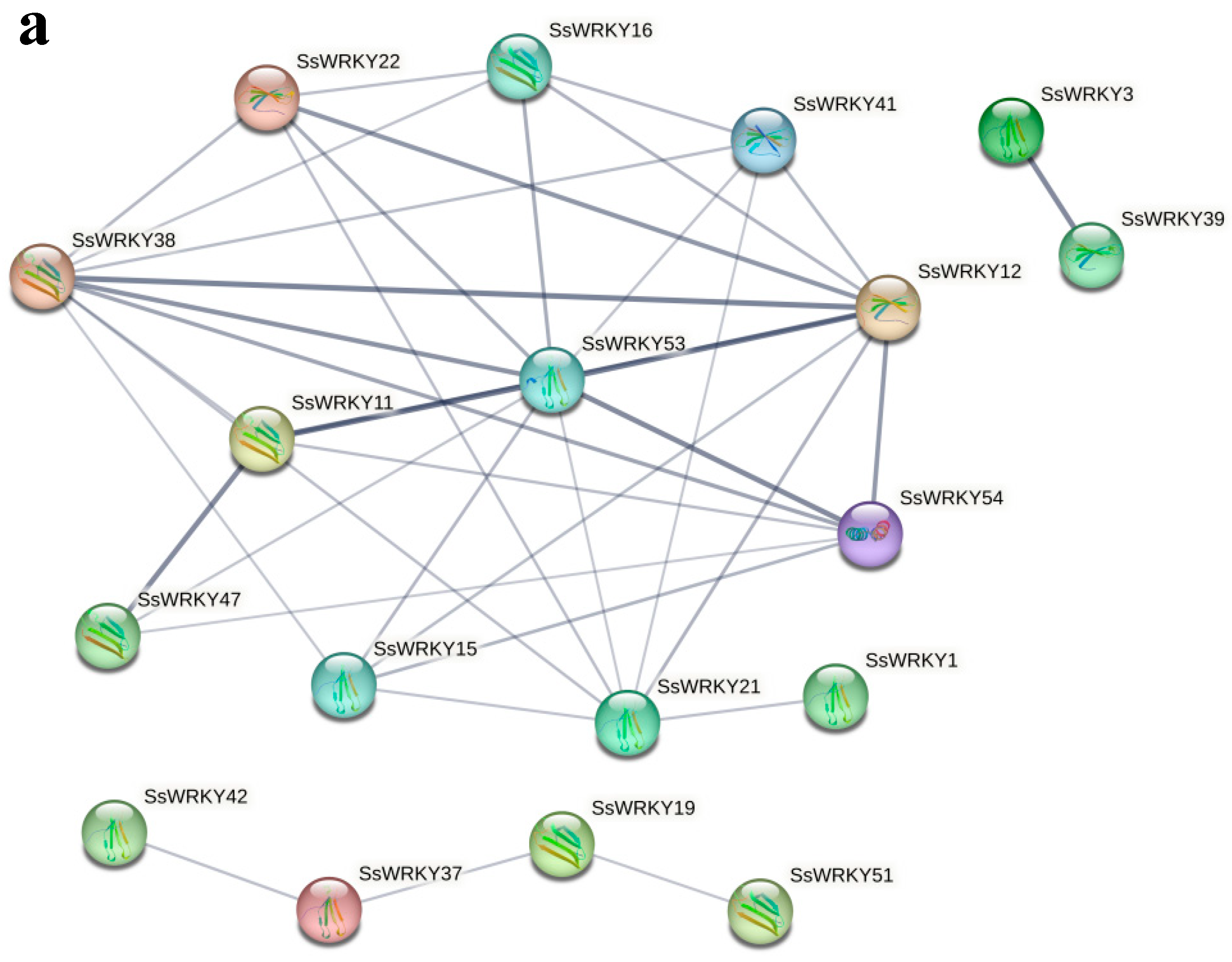 Plants 12 00288 g007a Plants 12 00288 g007a