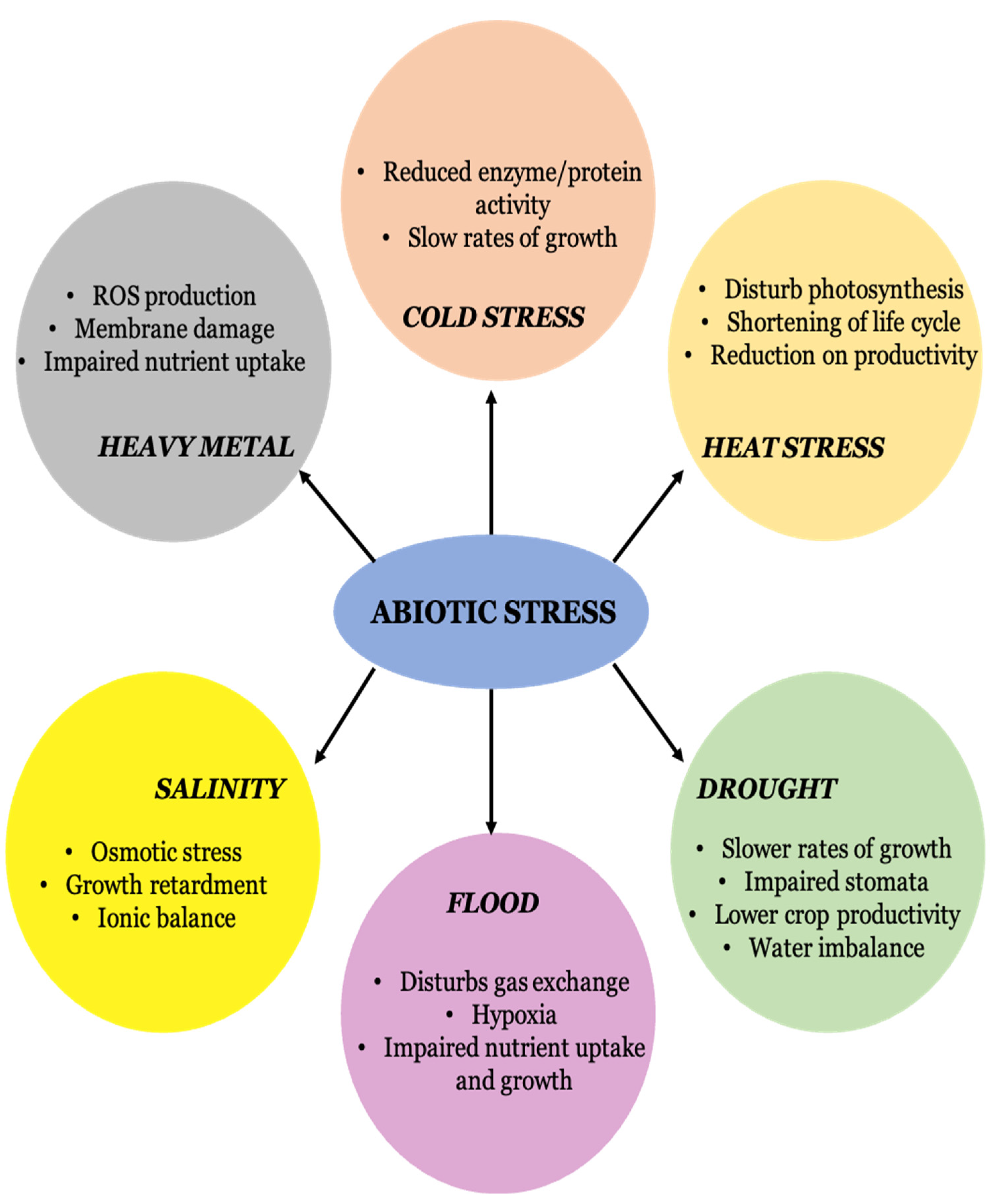 Plants 12 00292 g001