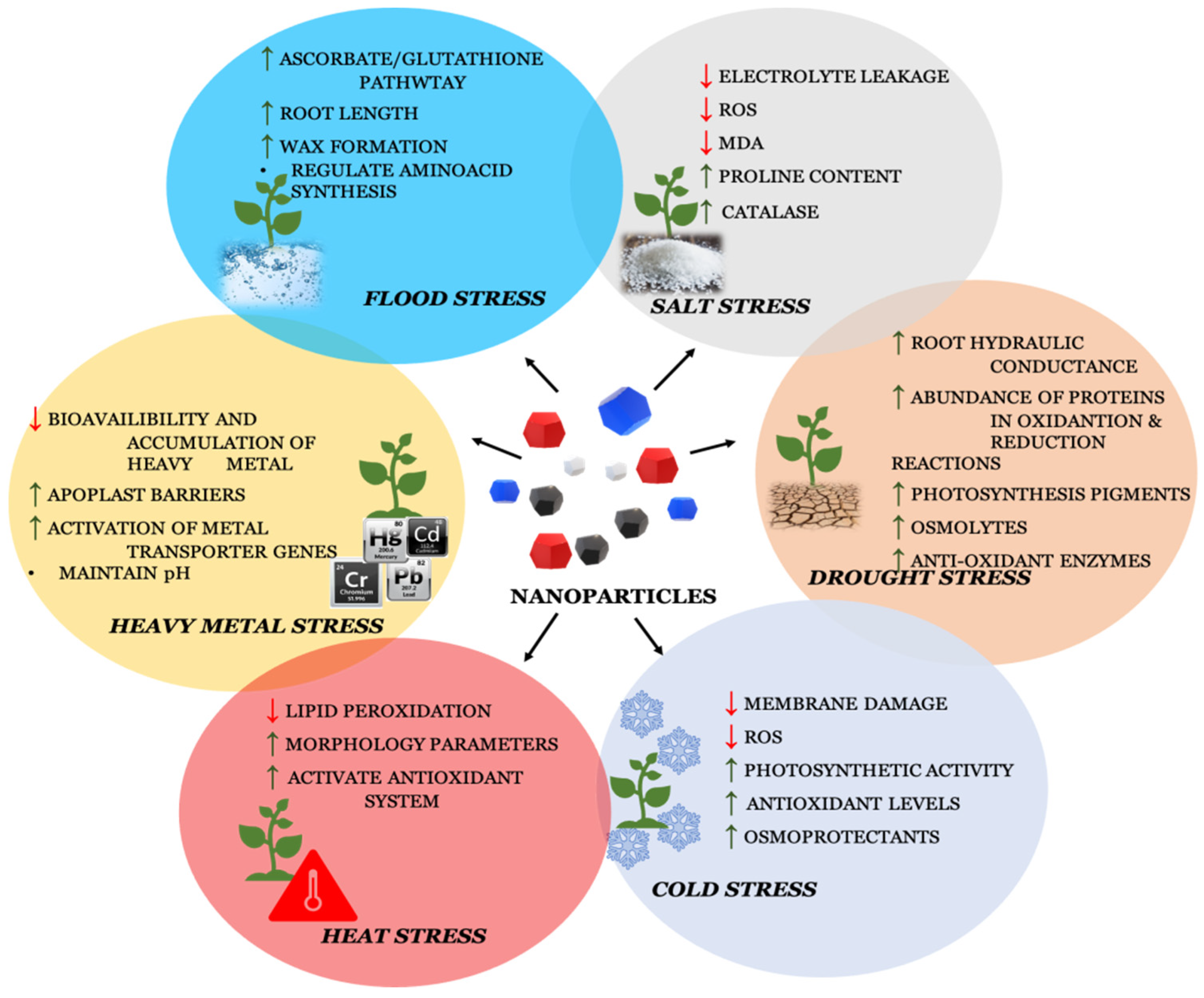 Plants 12 00292 g003