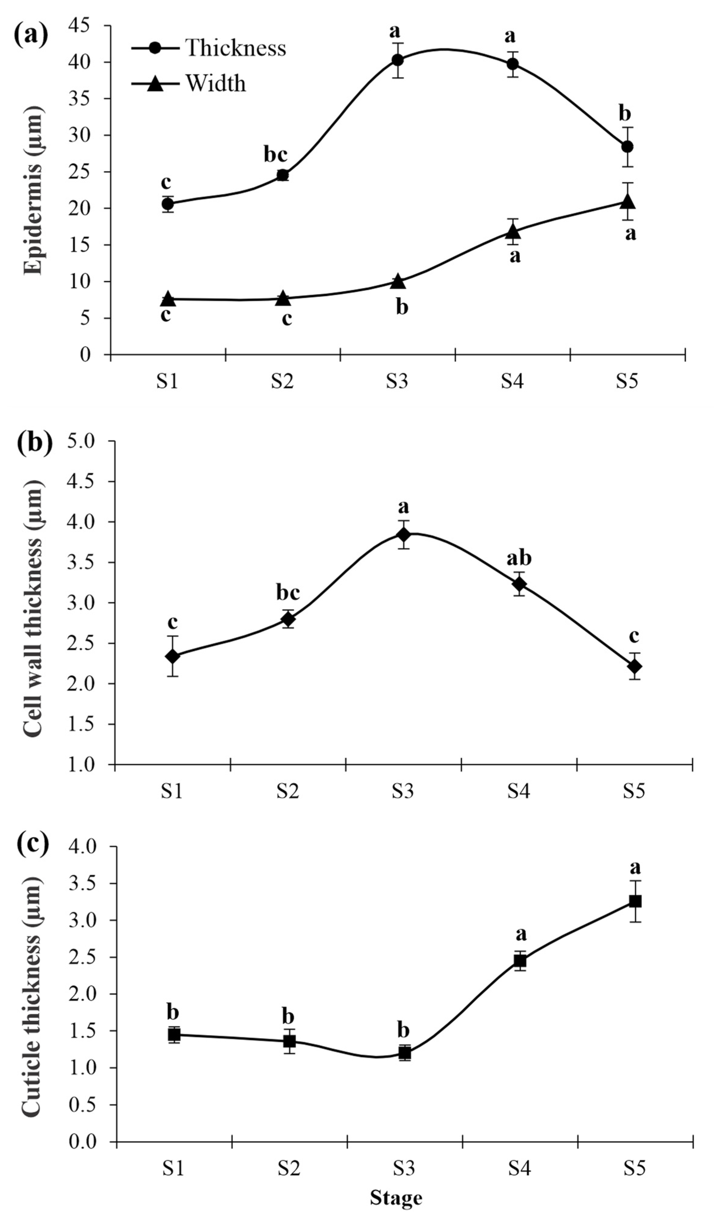 Plants 12 00293 g004