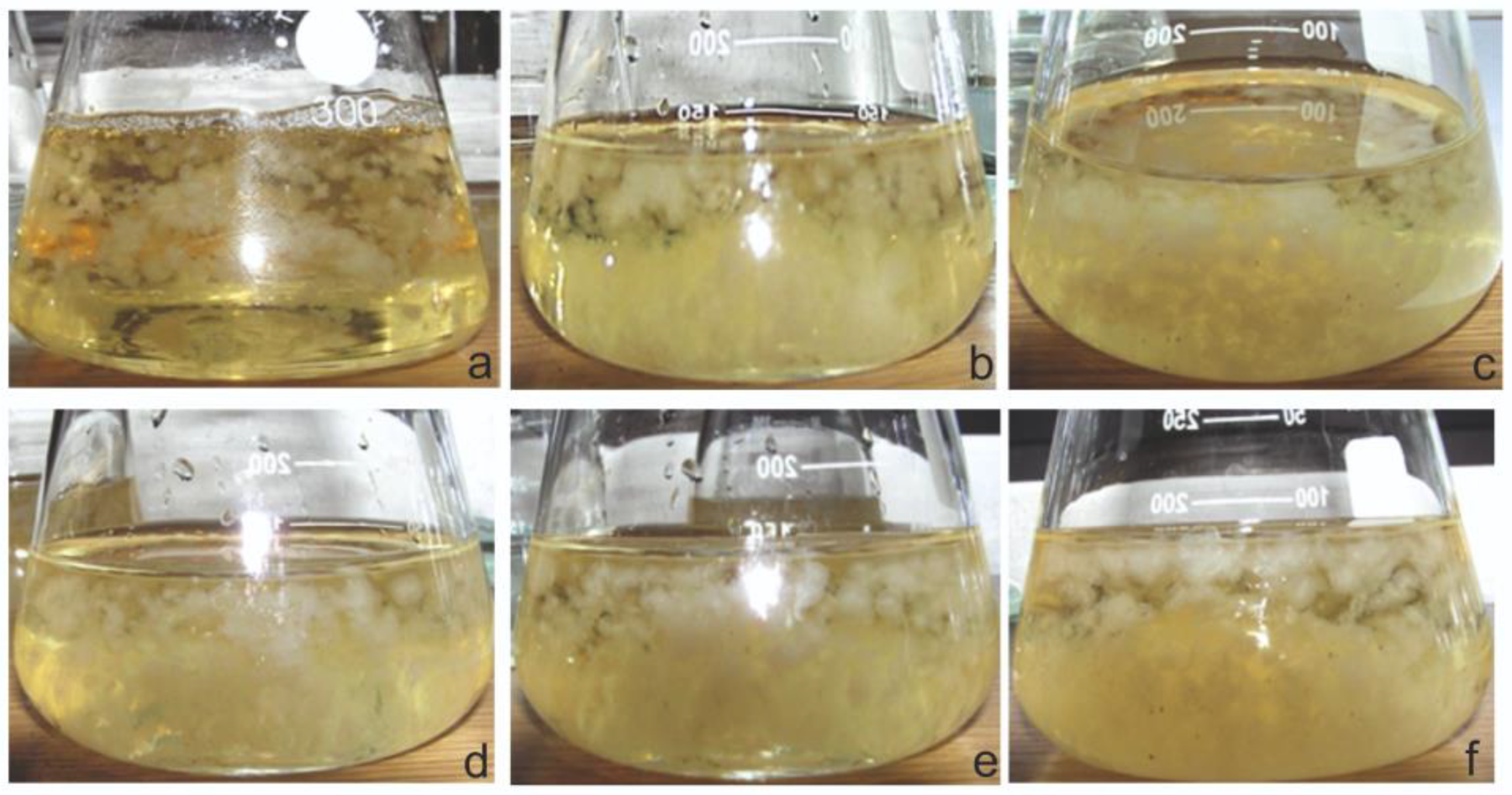 Plants 12 00294 g001 Plants 12 00294 g001